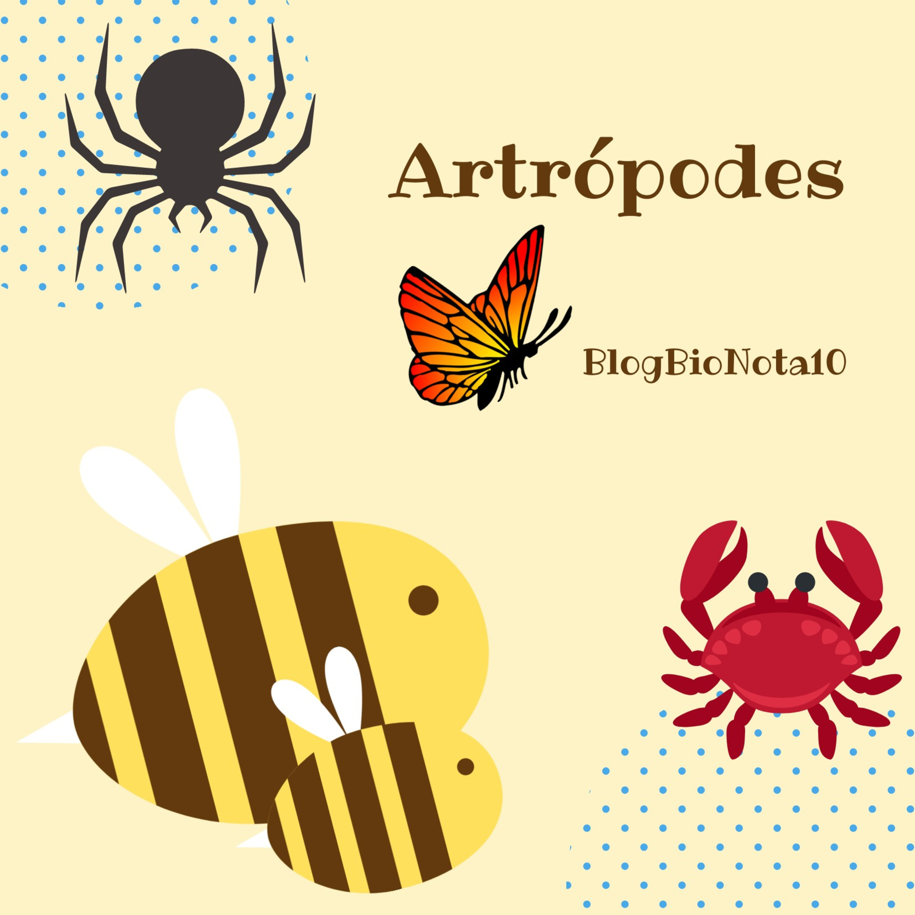 Blog Bio Nota 10