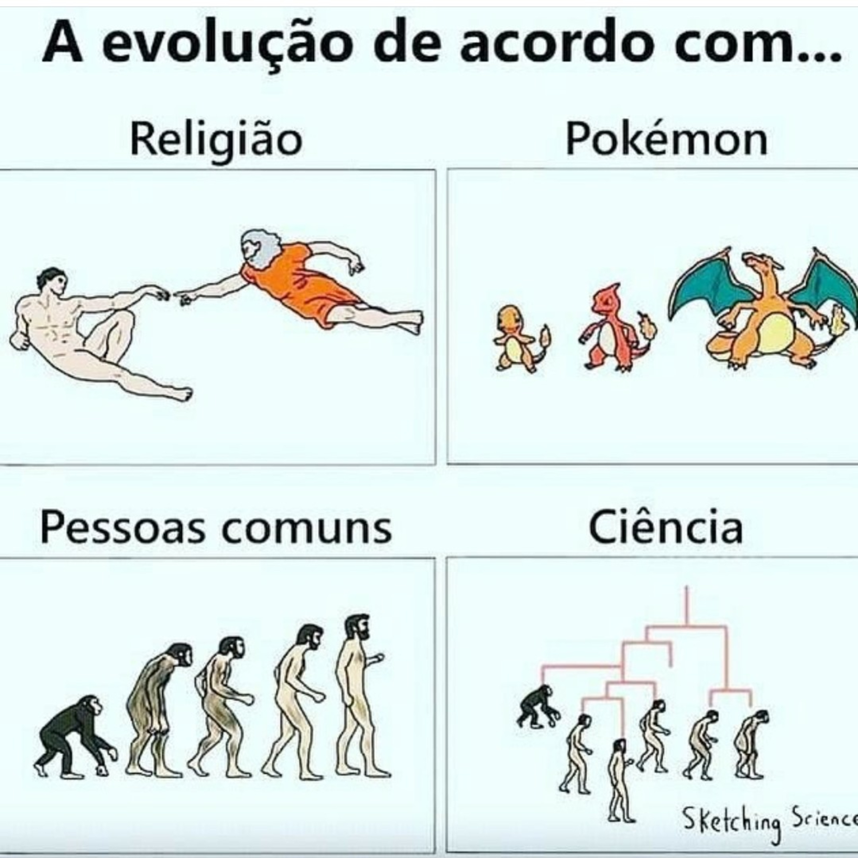 Blog Bio Nota 10