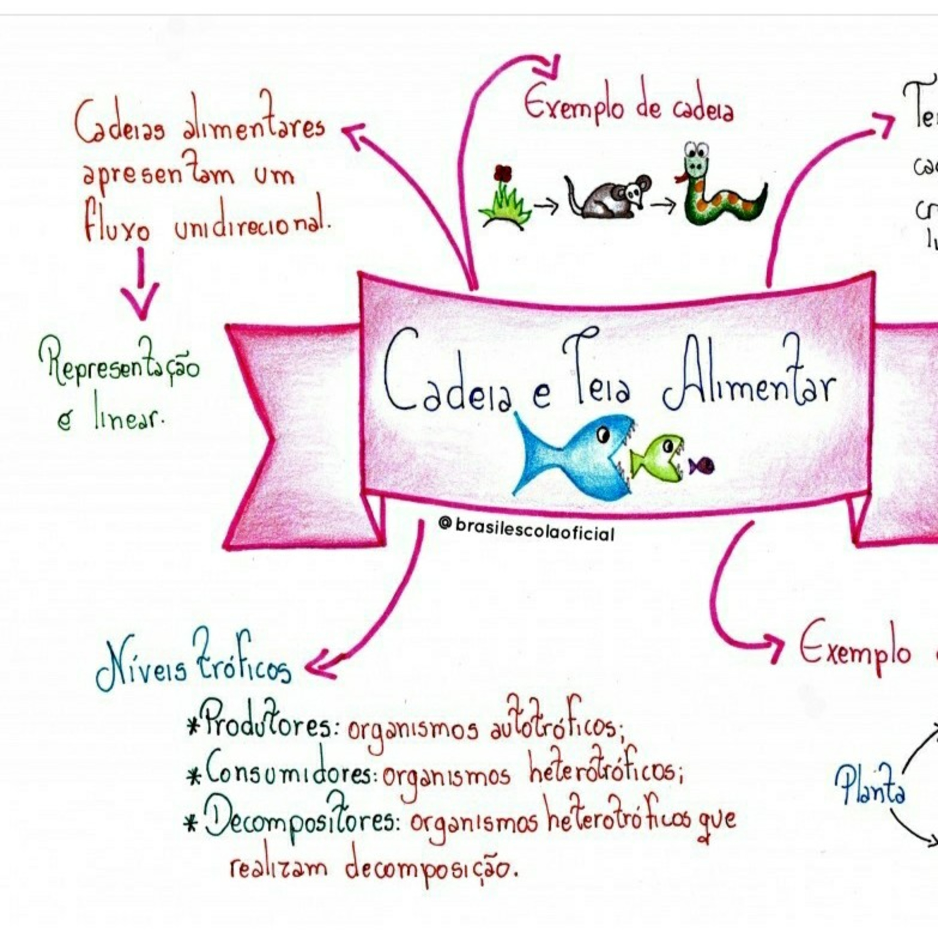 Blog Bio Nota 10