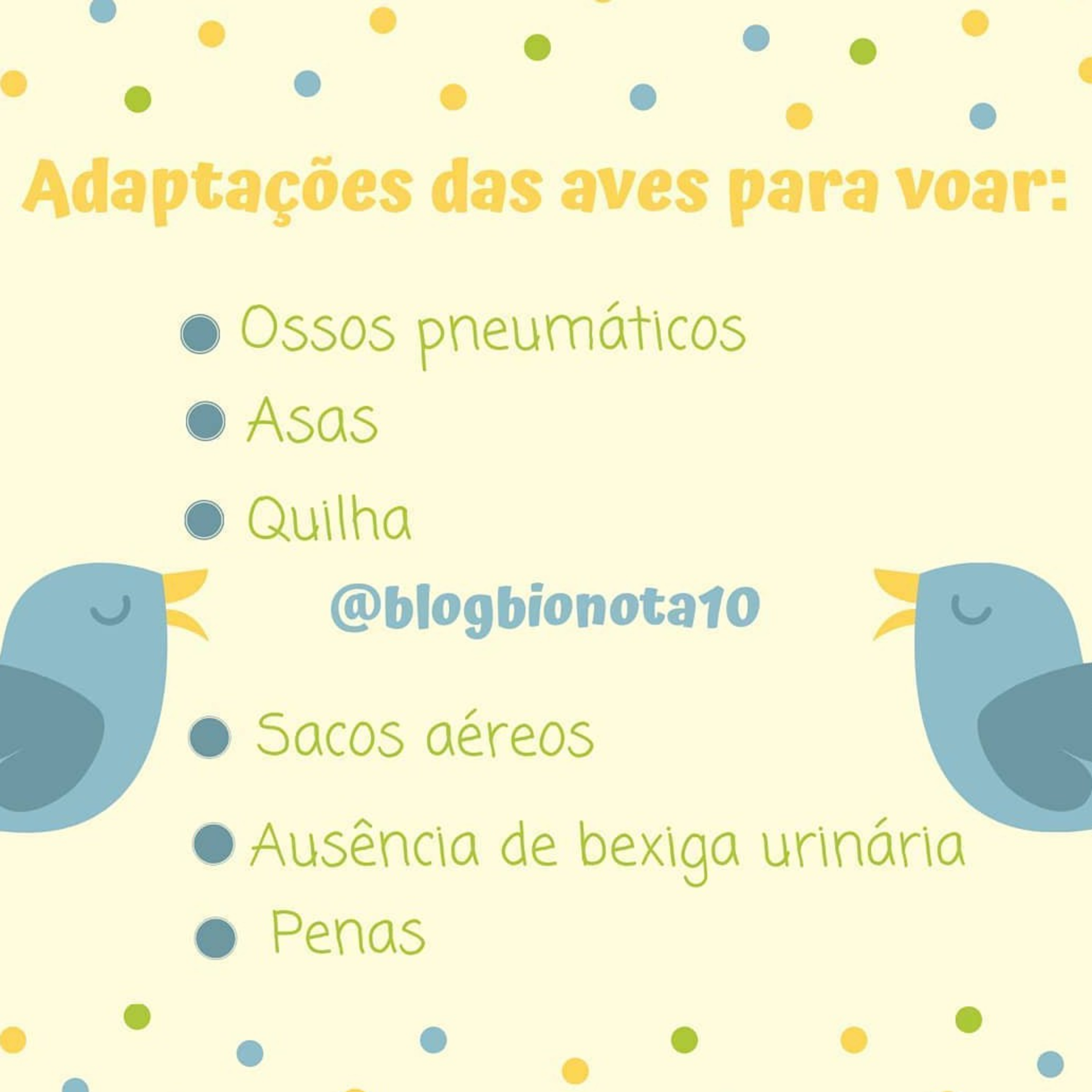 Blog Bio Nota 10