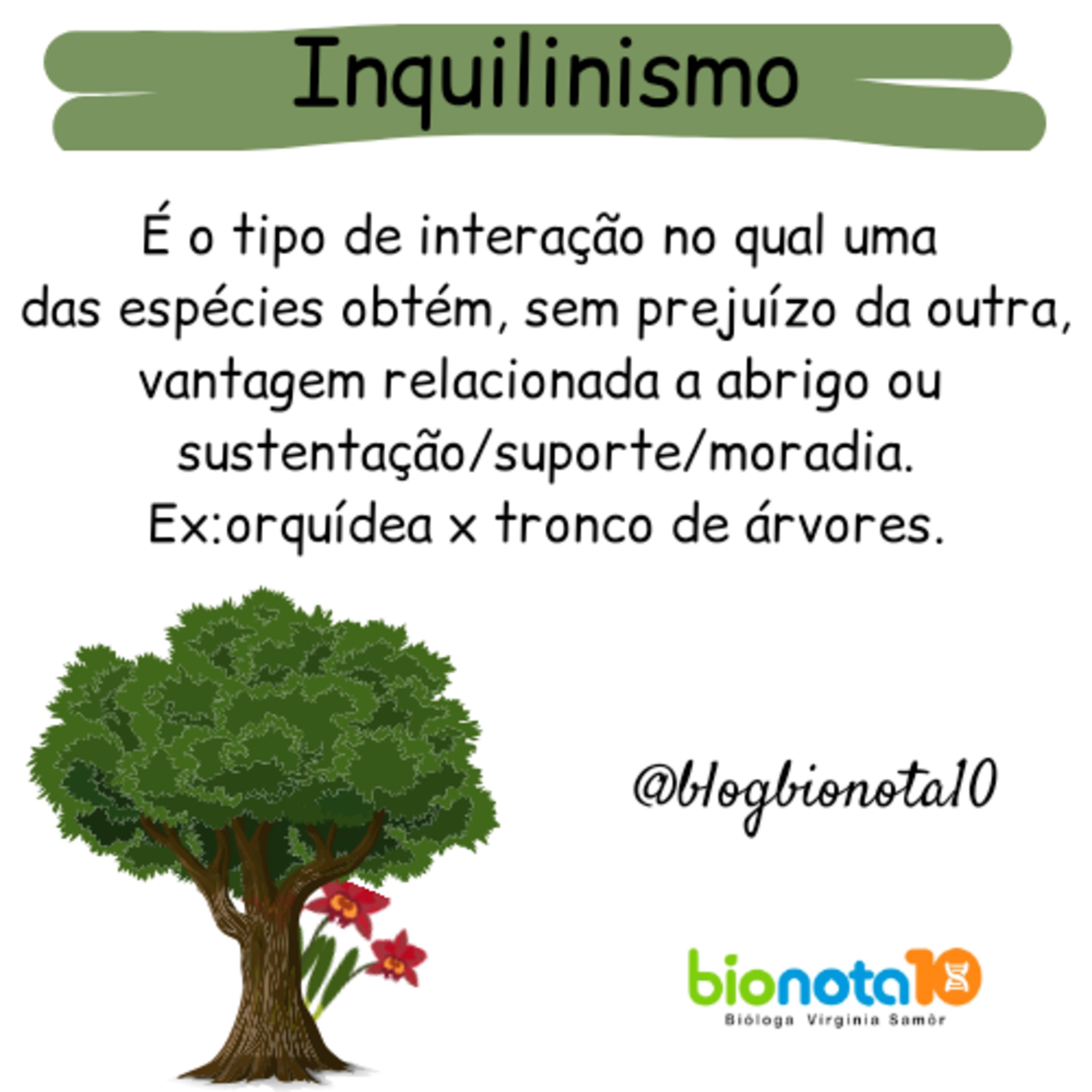 Blog Bio Nota 10