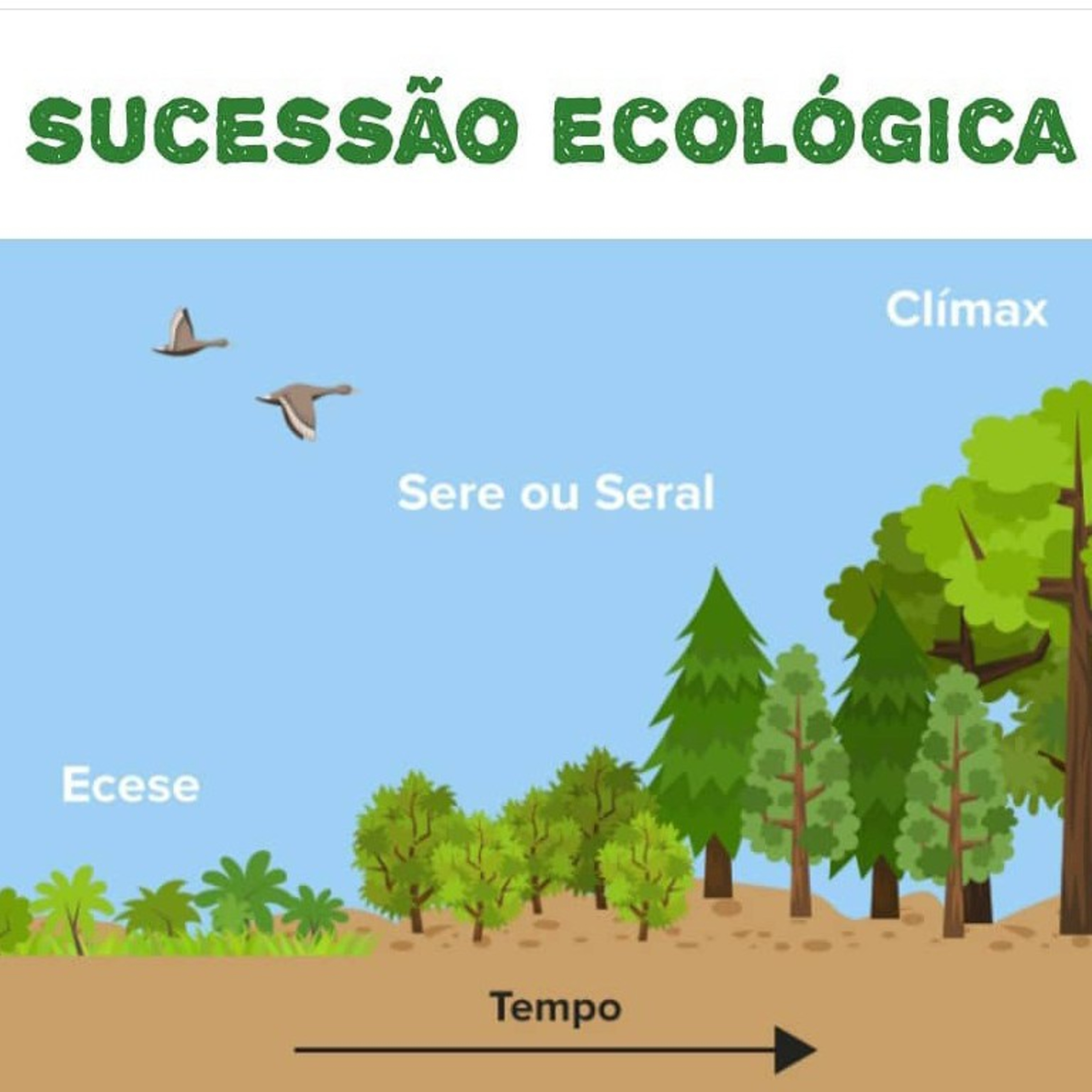 Blog Bio Nota 10