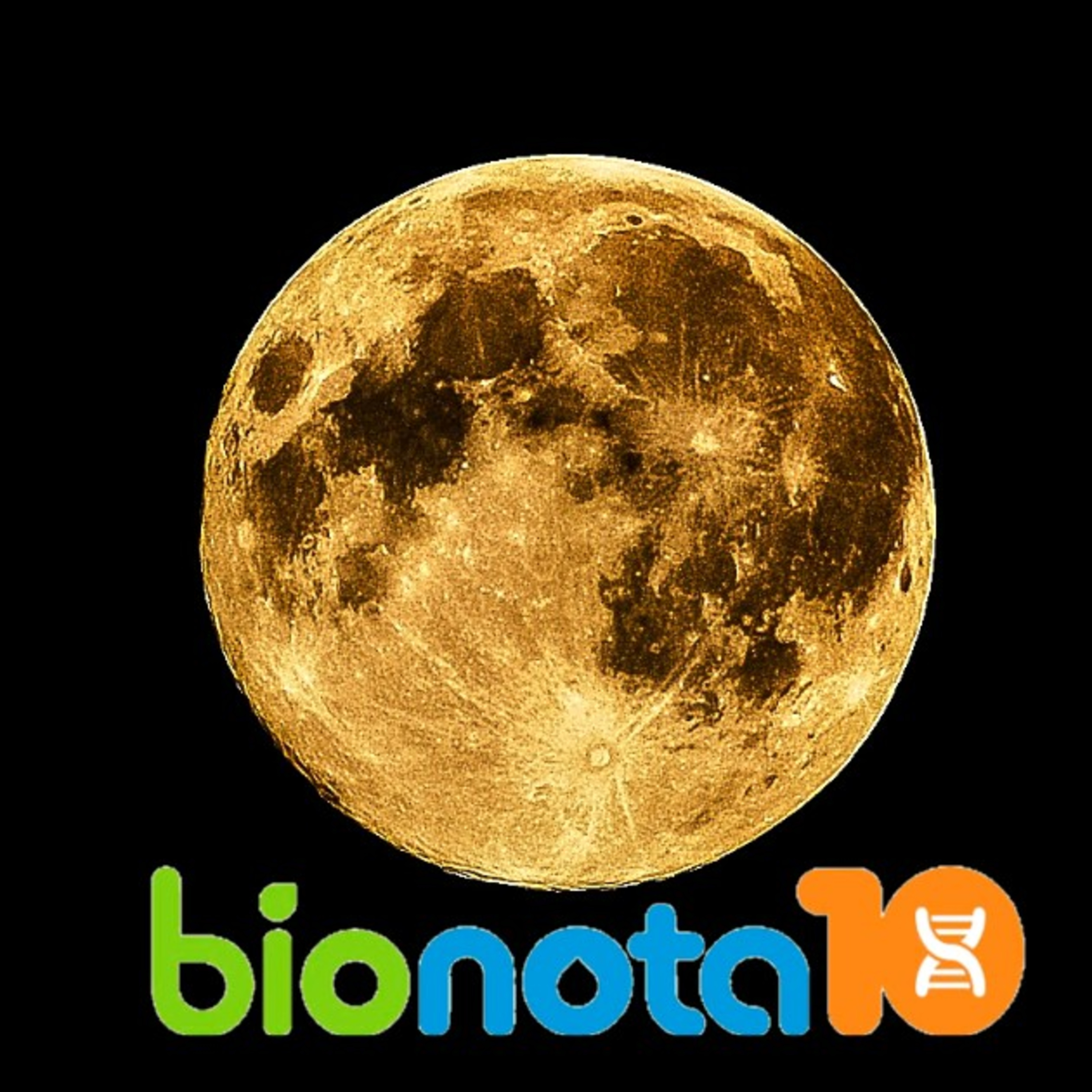 Blog Bio Nota 10