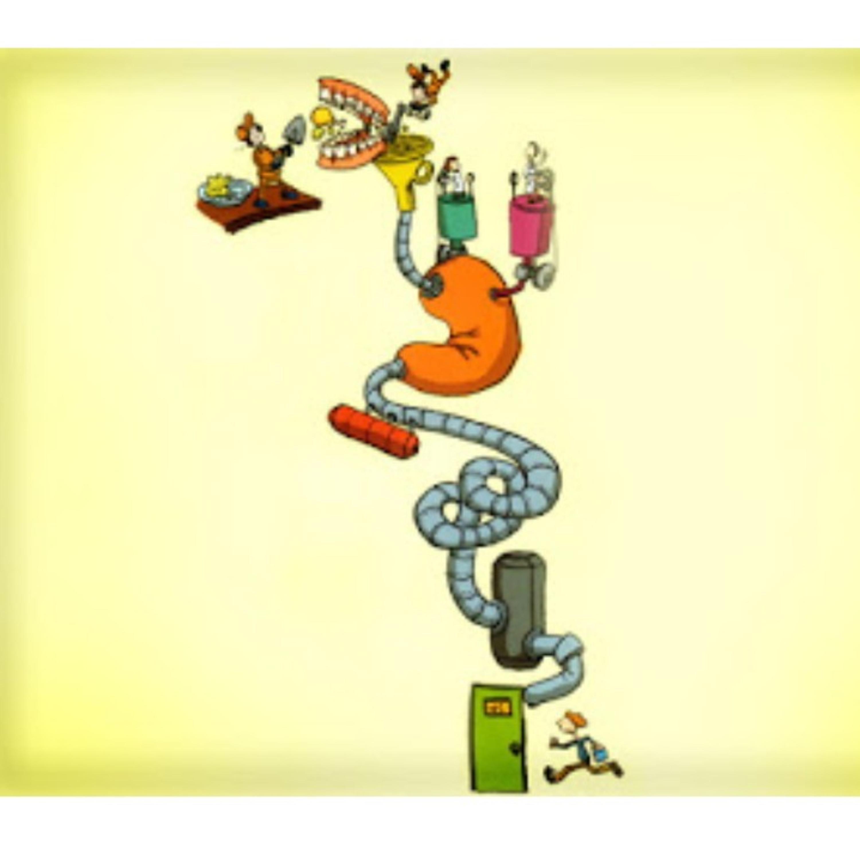 Blog Bio Nota 10