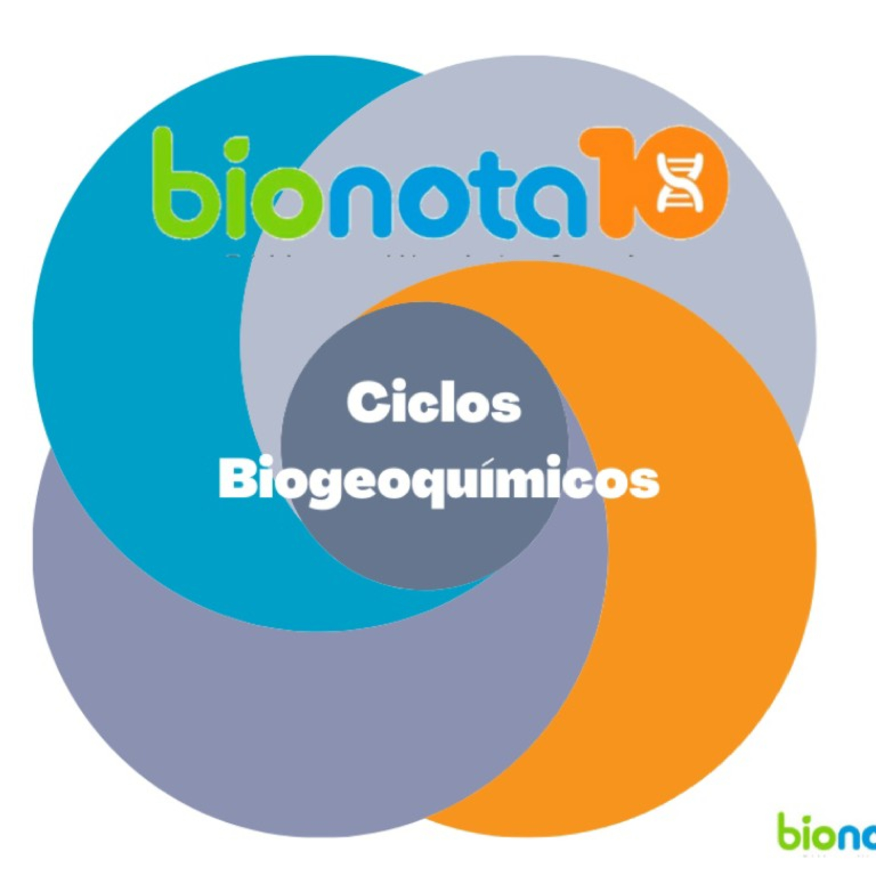 Blog Bio Nota 10