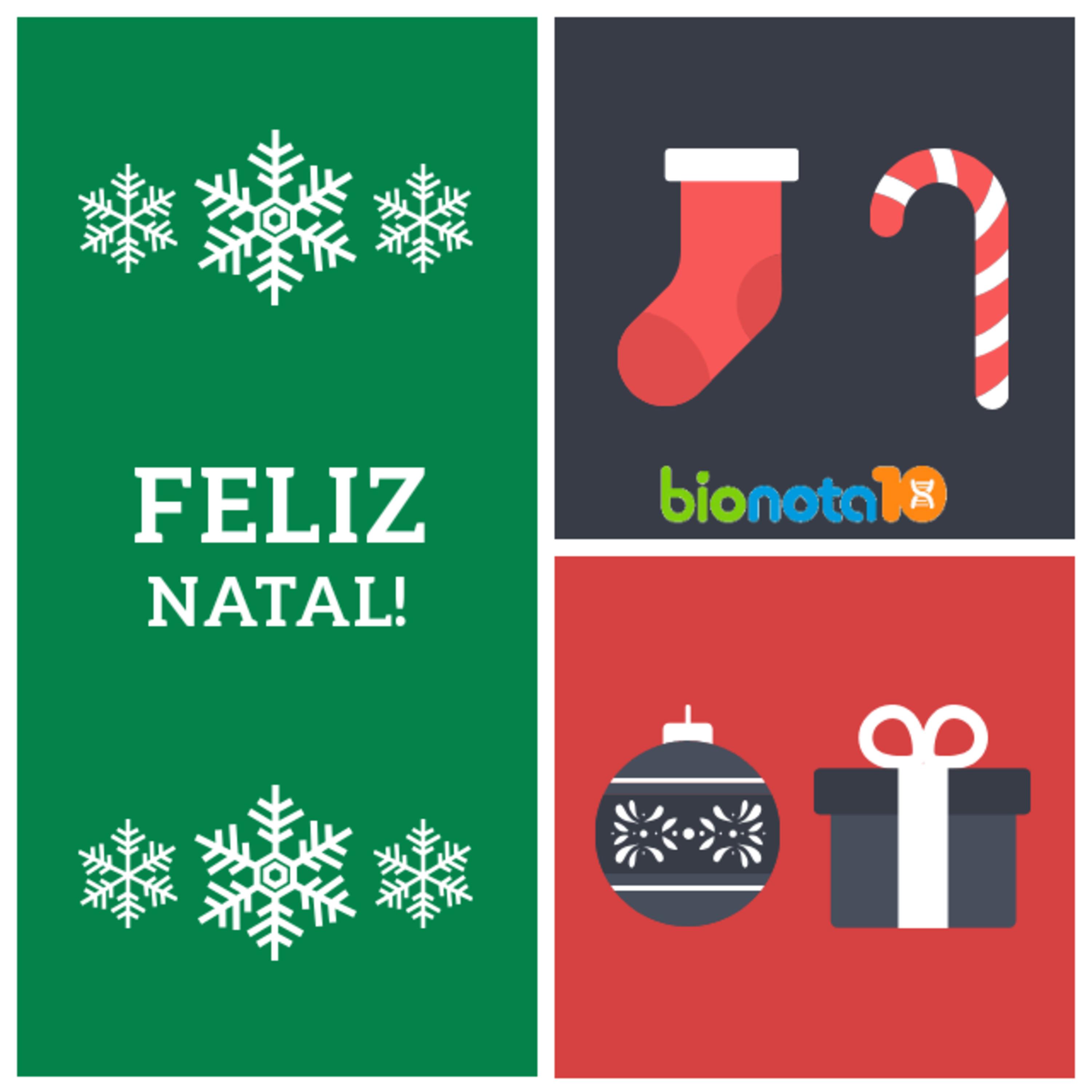 Blog Bio Nota 10