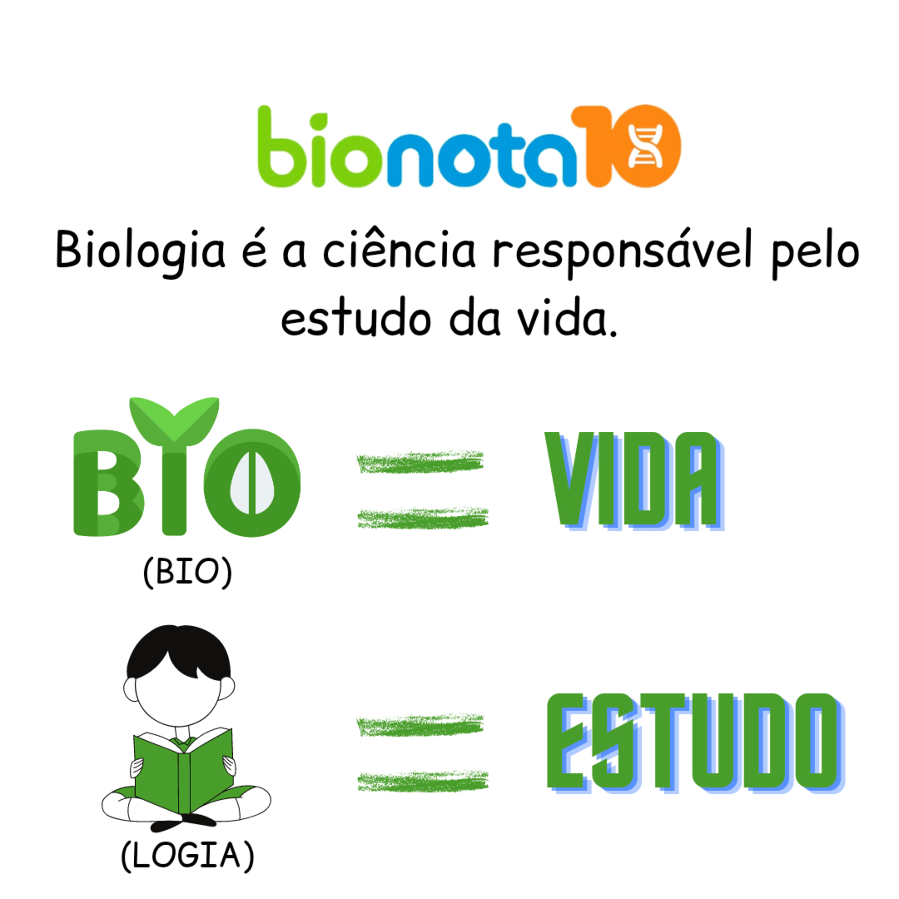 Blog Bio Nota 10