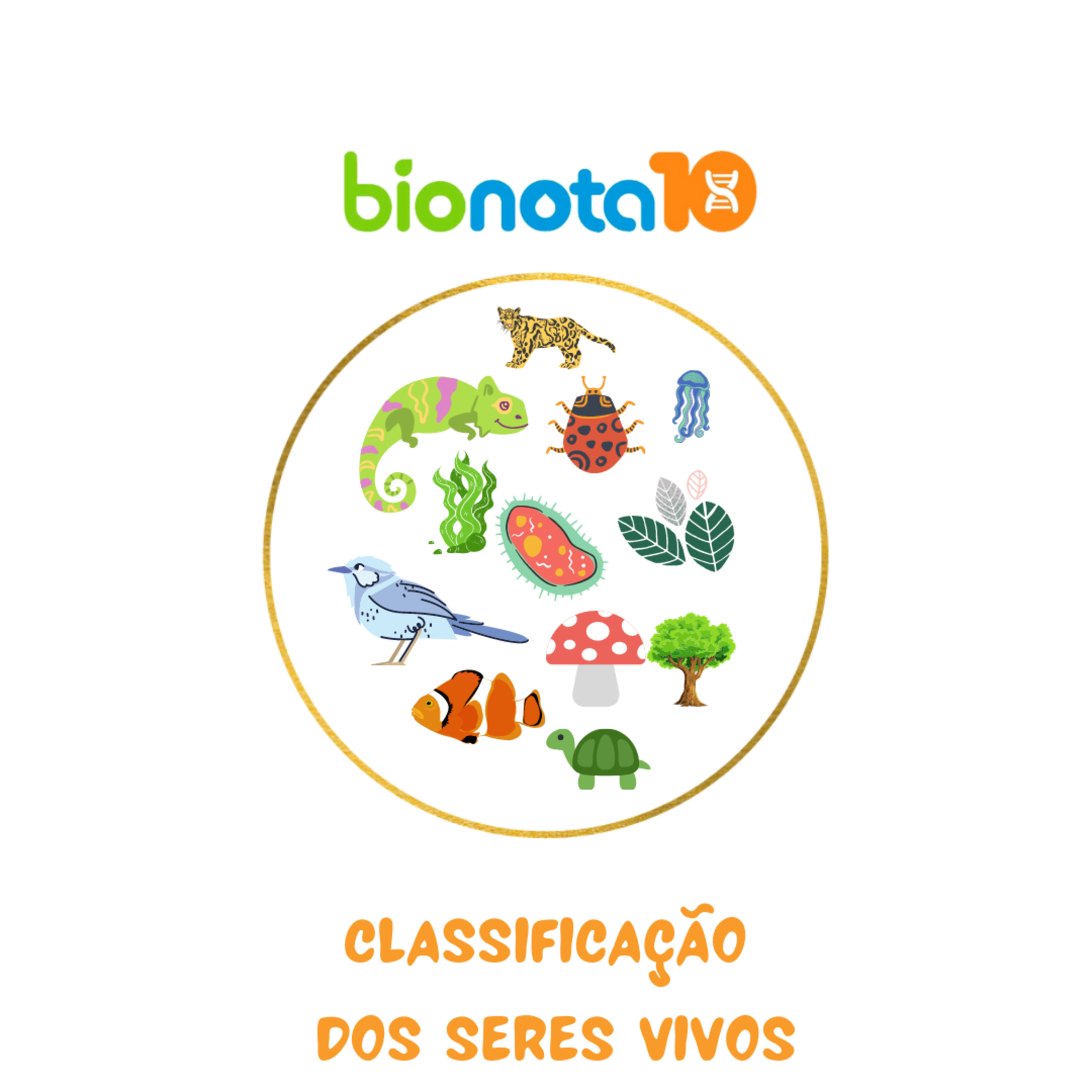 Blog Bio Nota 10