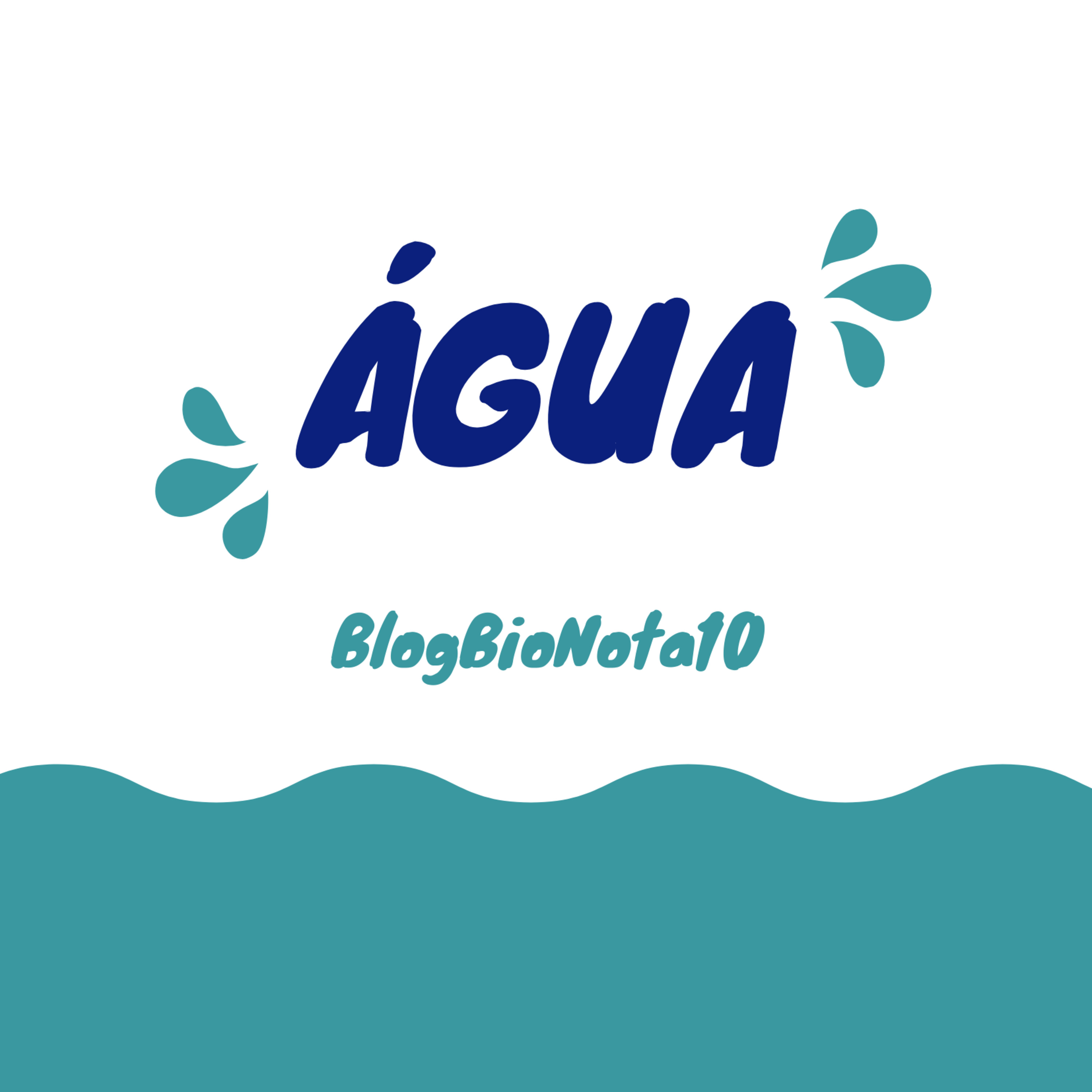 Blog Bio Nota 10