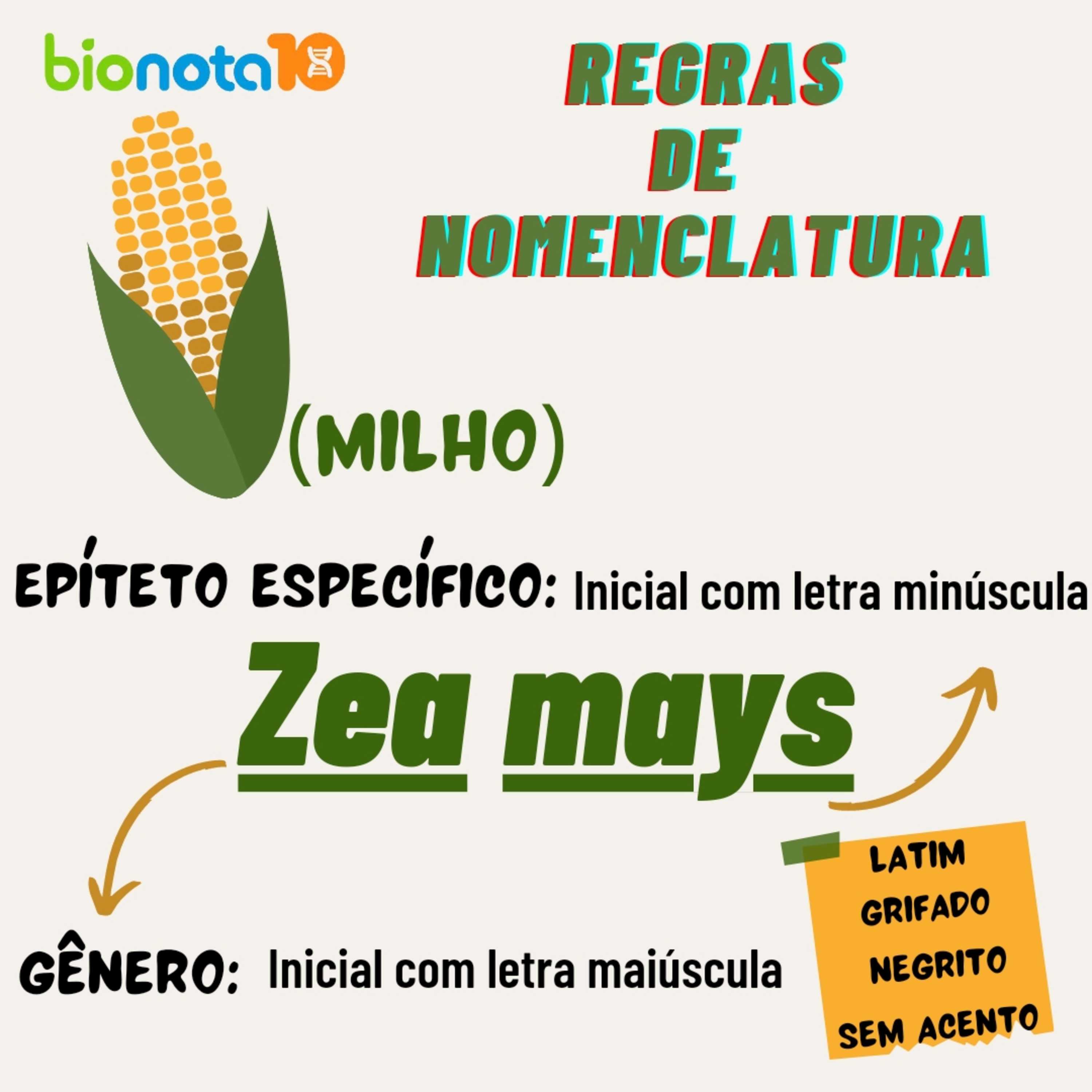 Blog Bio Nota 10