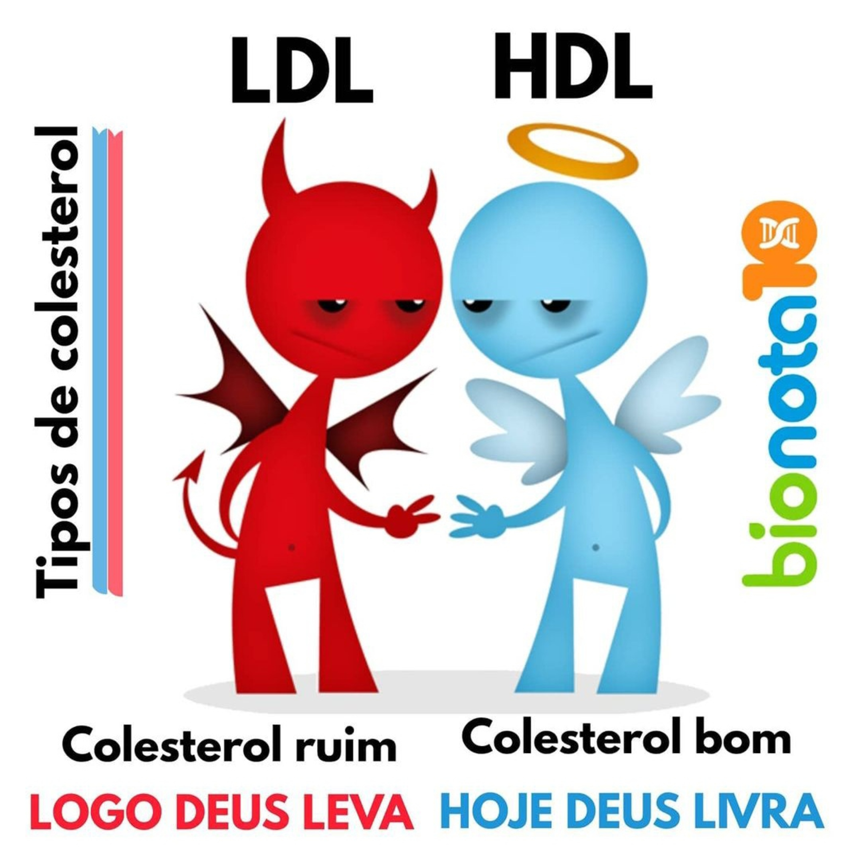 Blog Bio Nota 10