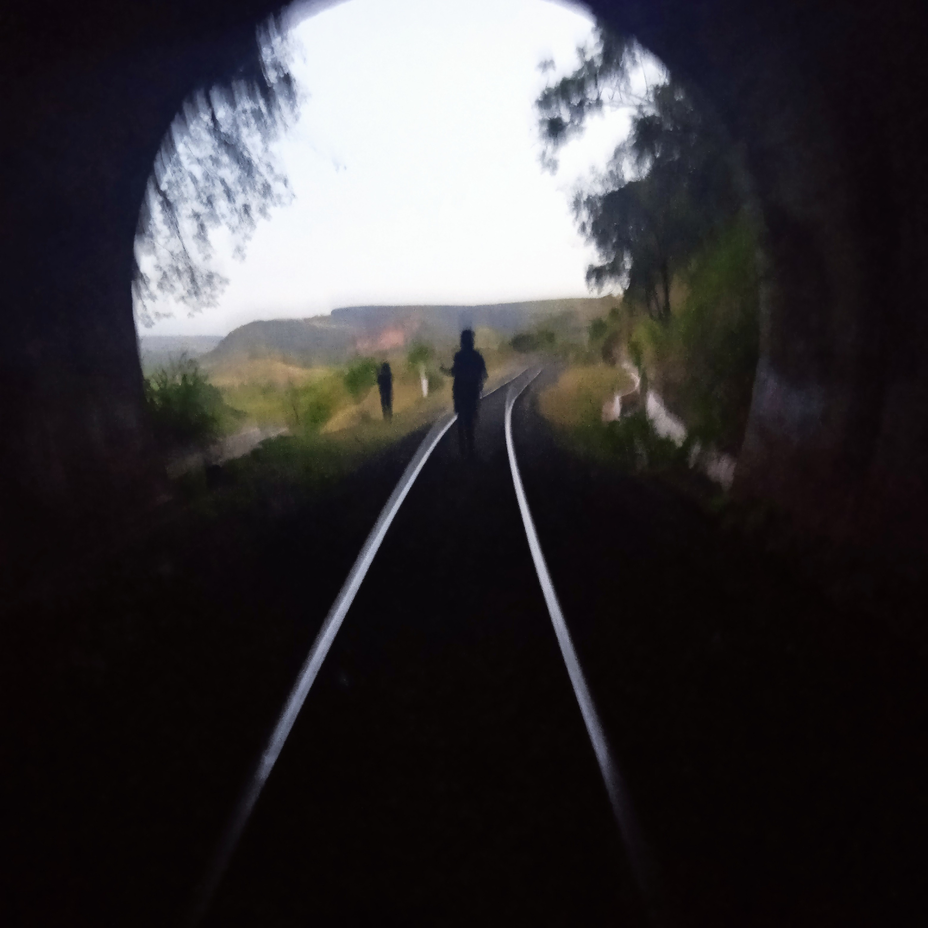 #8 Irreal Diê - Leandro Karnal, Polly Nor e eu