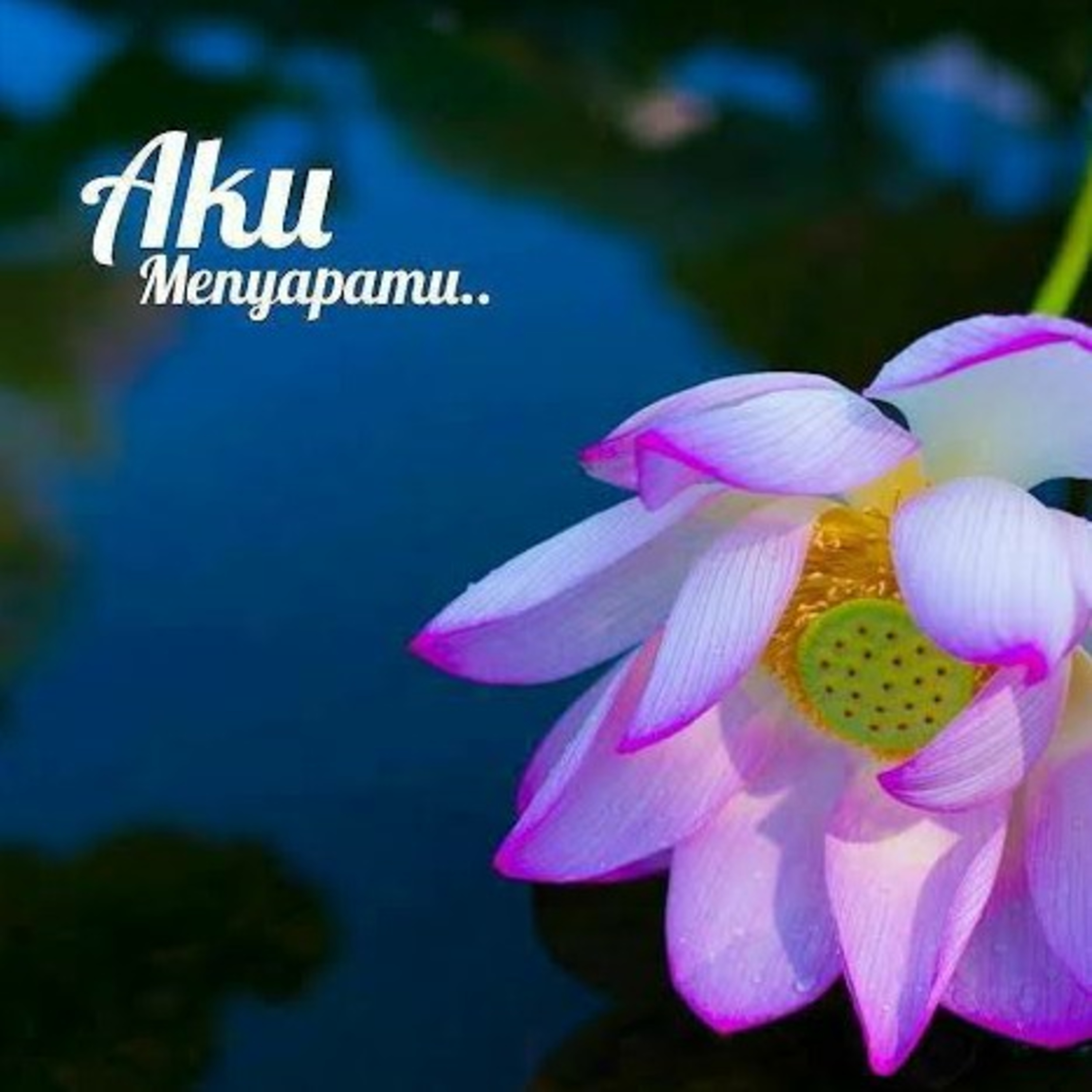 Aksara_Pujanggaku