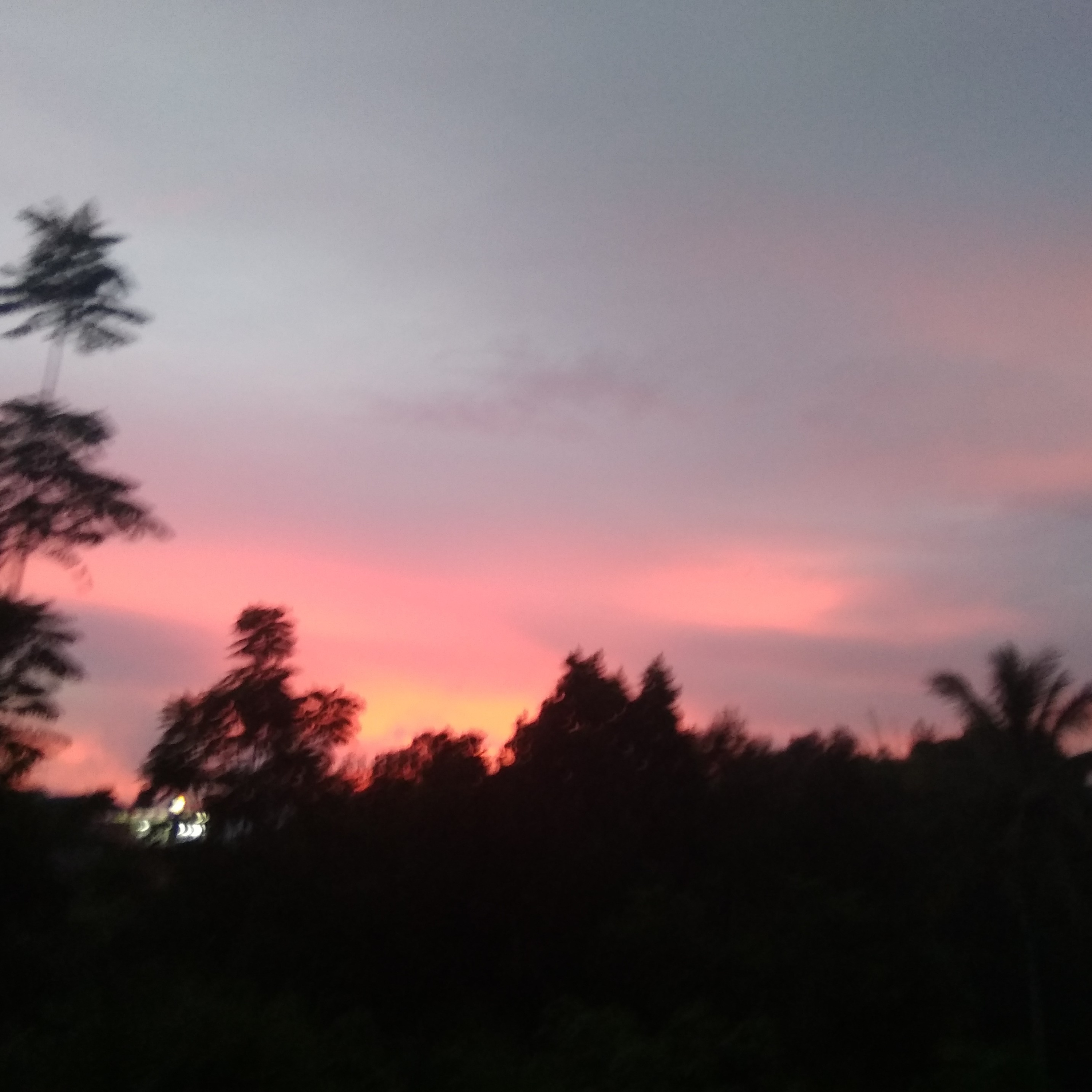 Aksara_Pujanggaku