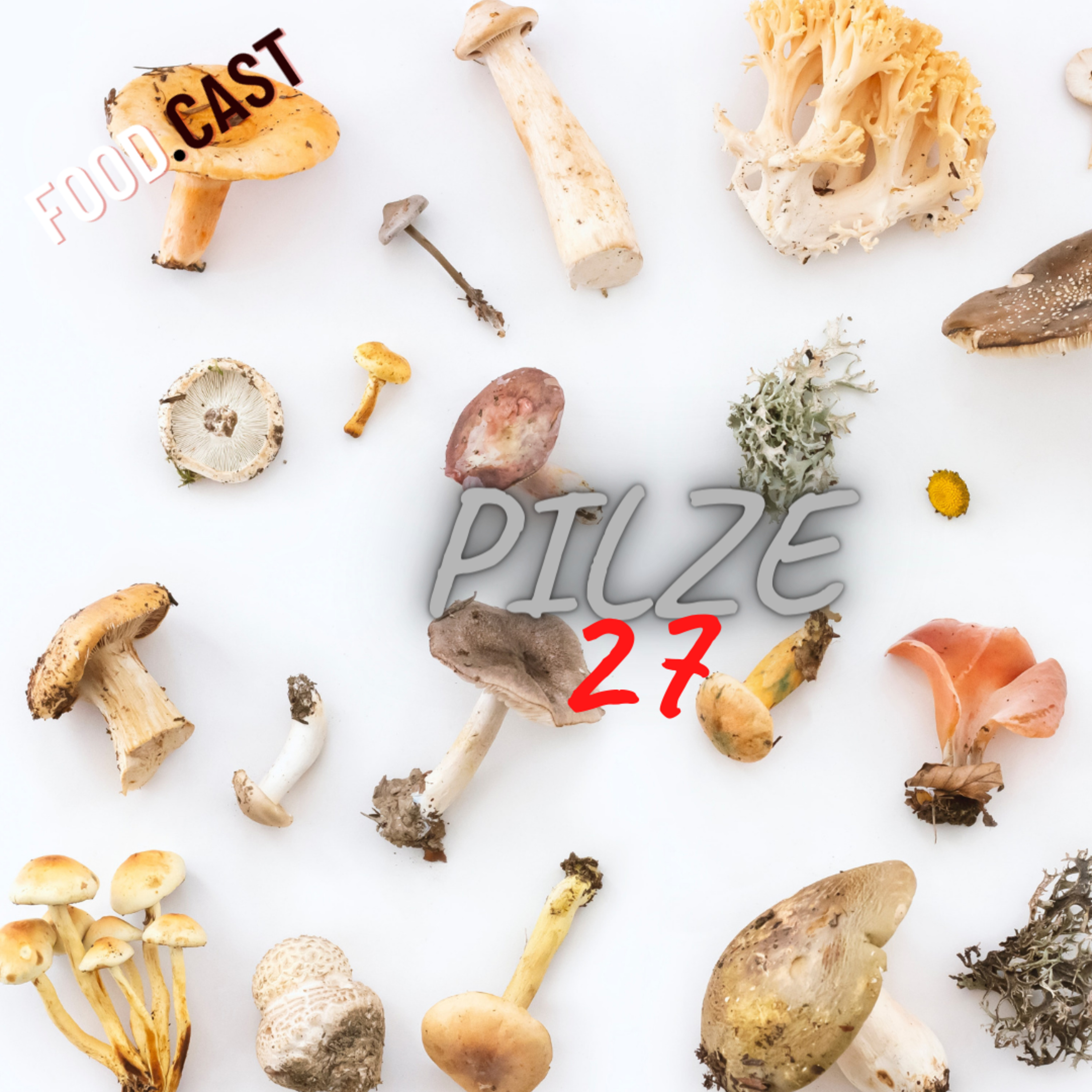 Food.Cast