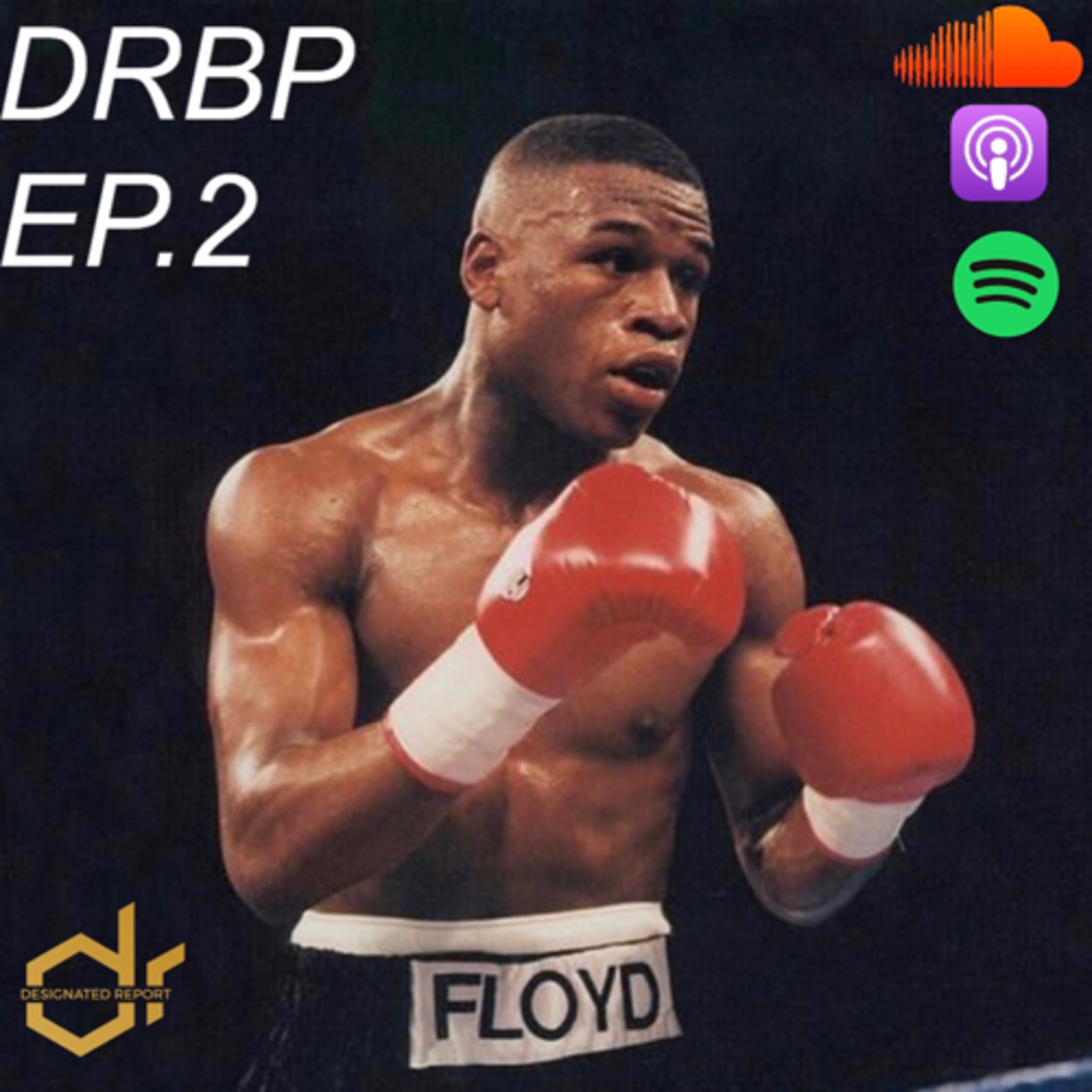 Designated Report Boxing Podcast