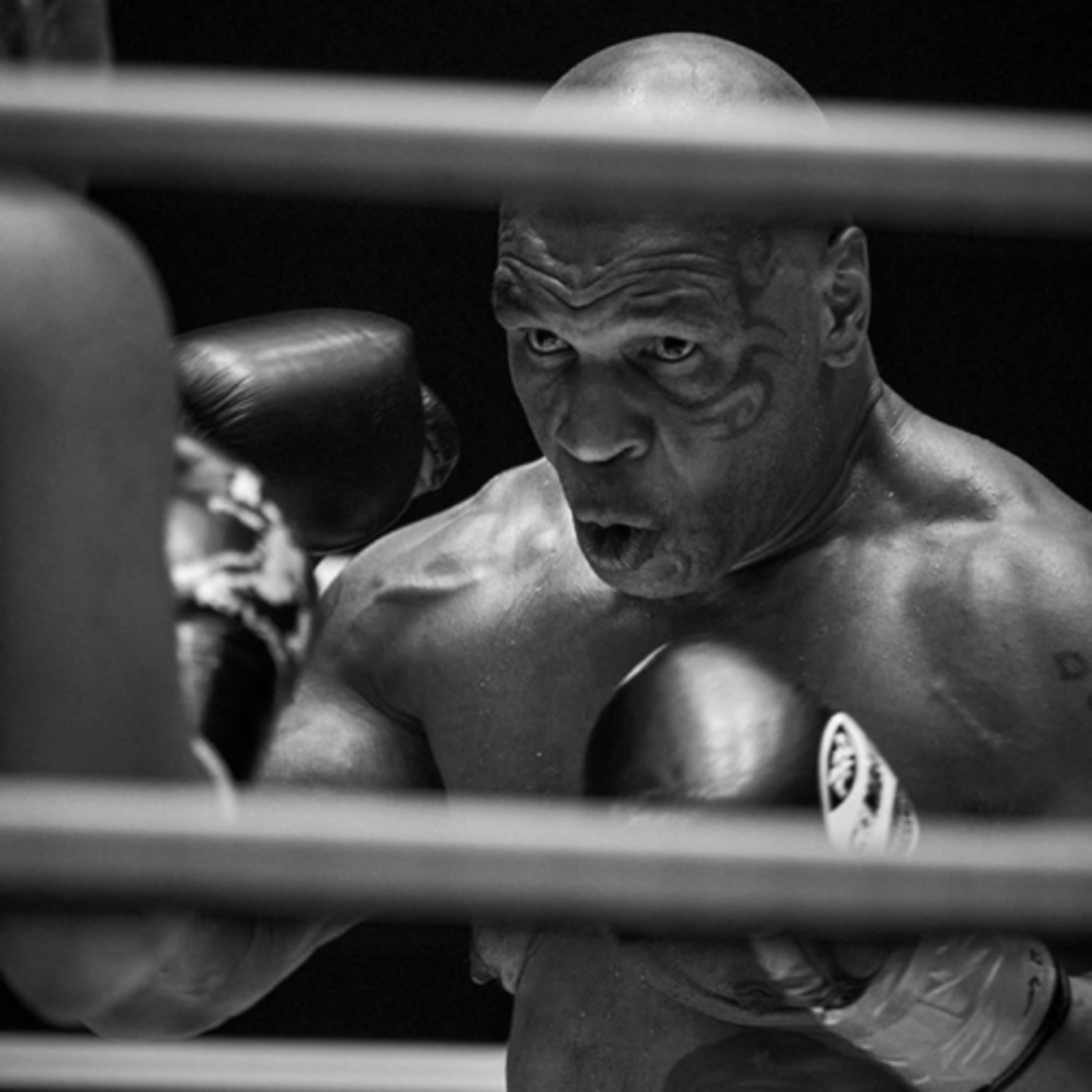 Designated Report Boxing Podcast