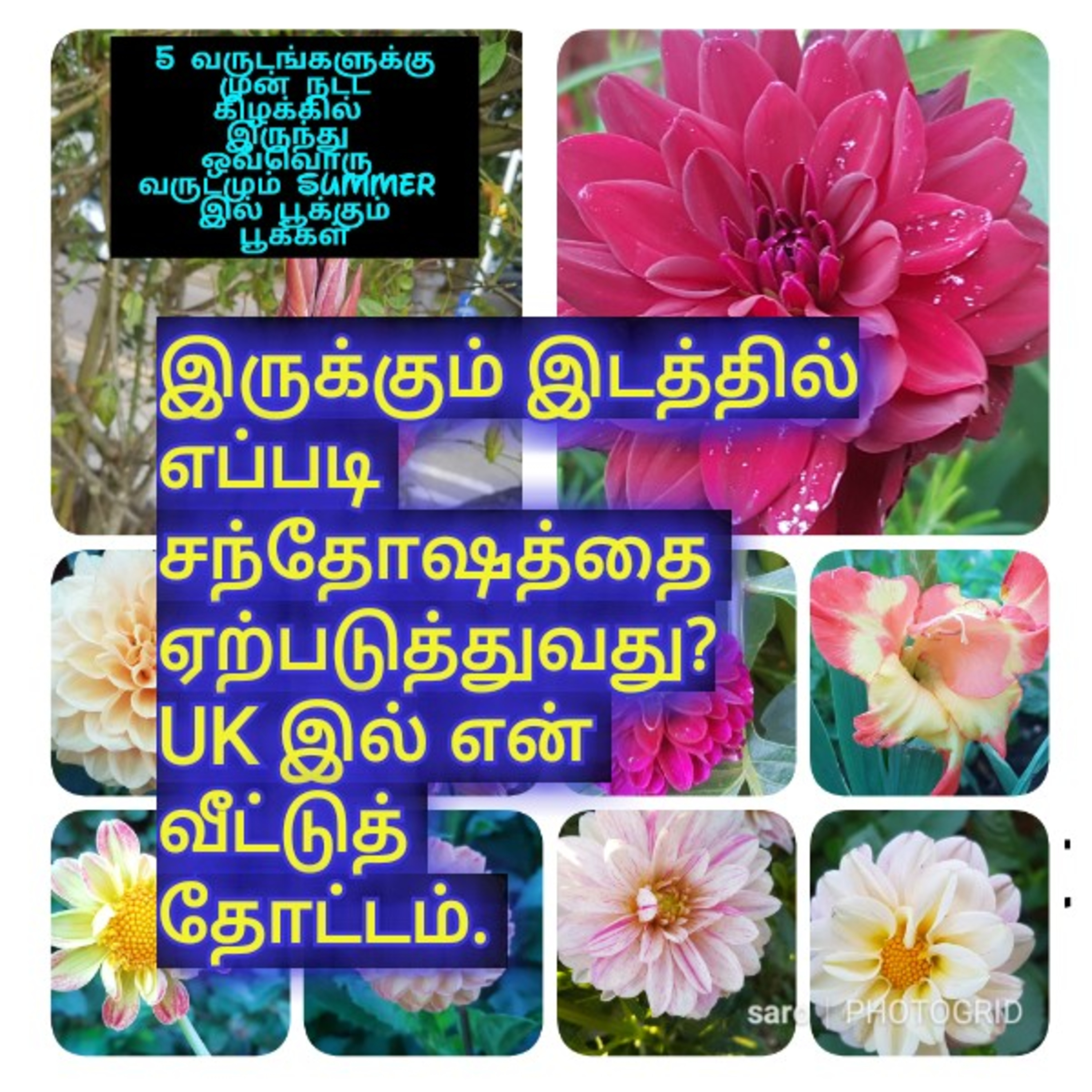 Saro\'s Tamil Positivity
