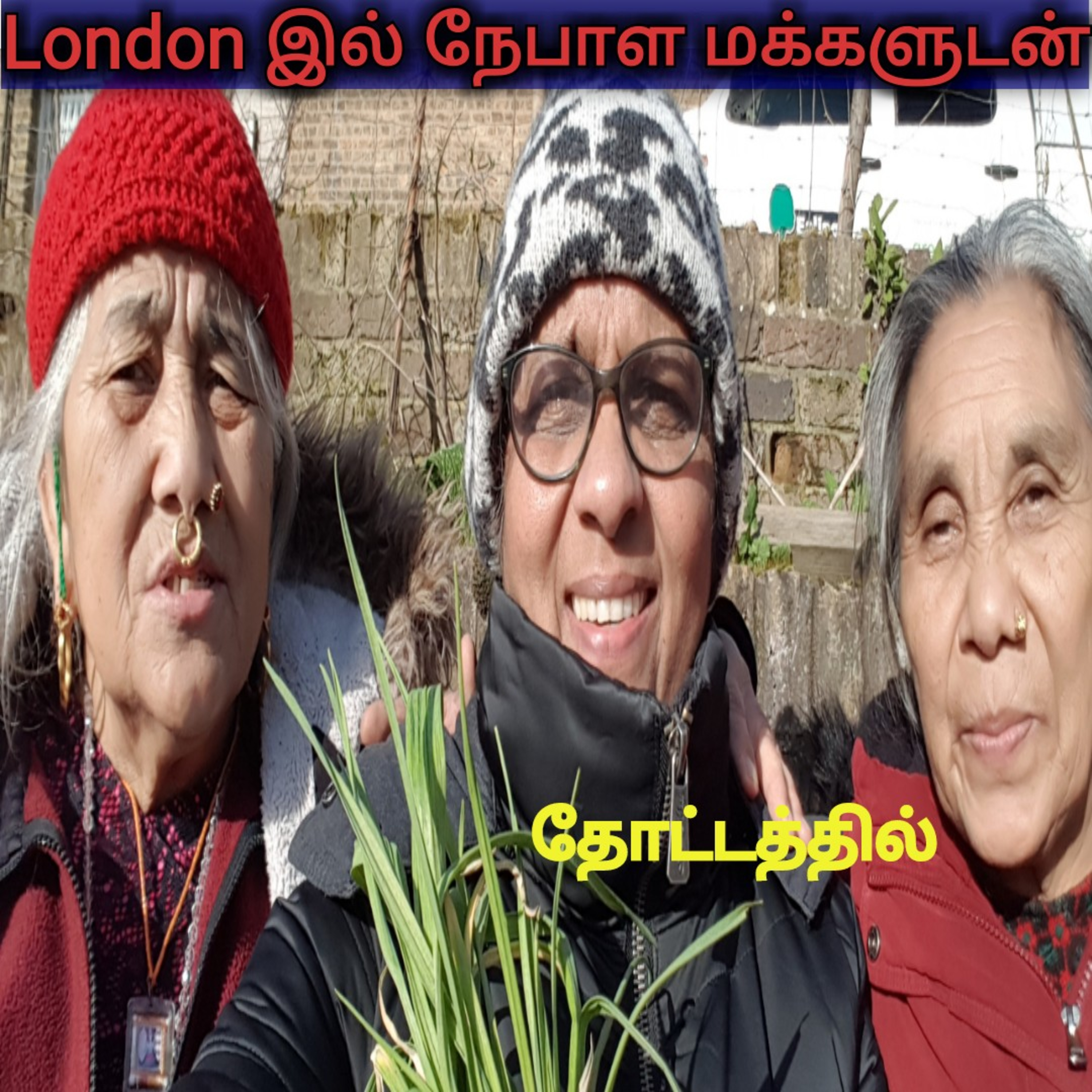 Saro\'s Tamil Positivity