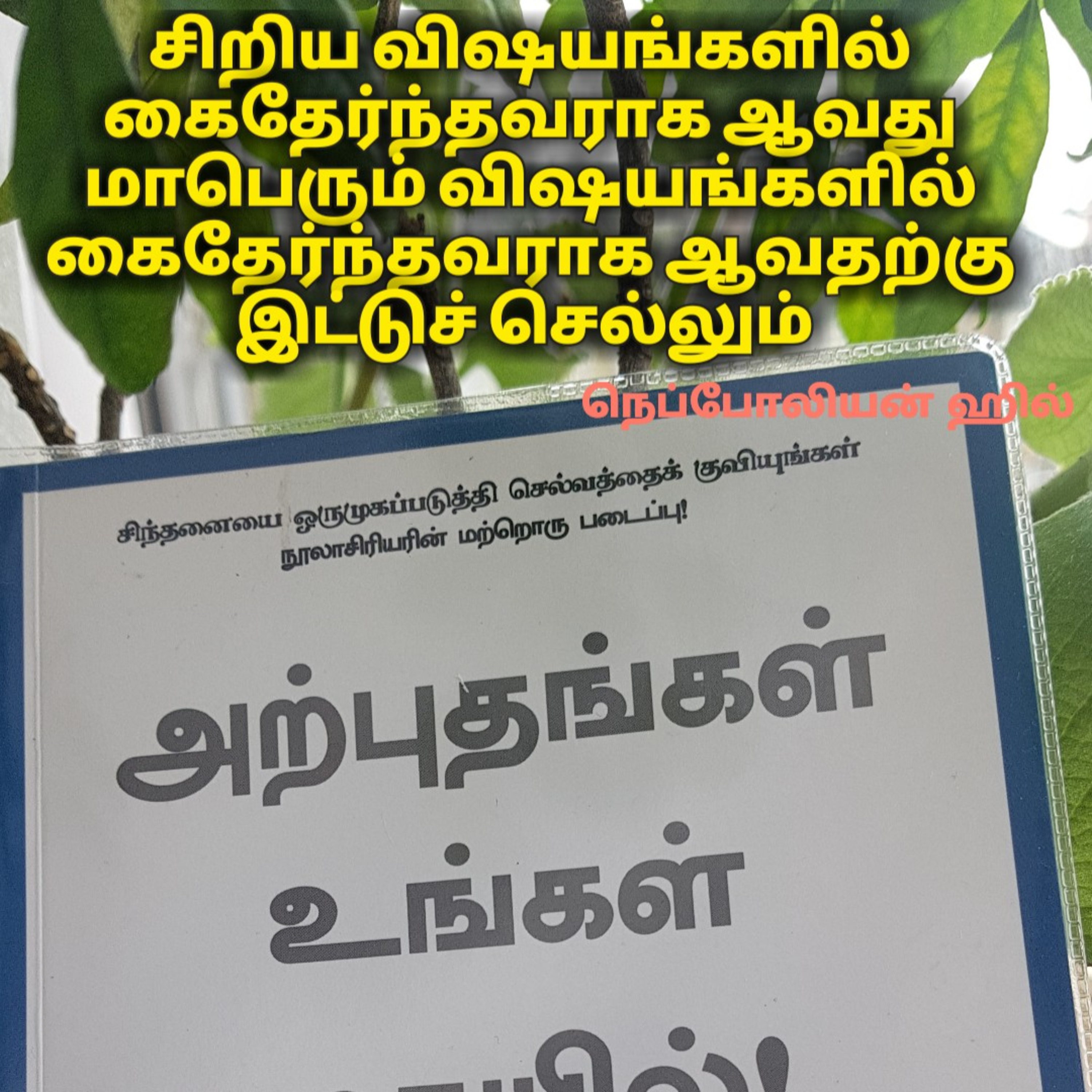 Saro\'s Tamil Positivity