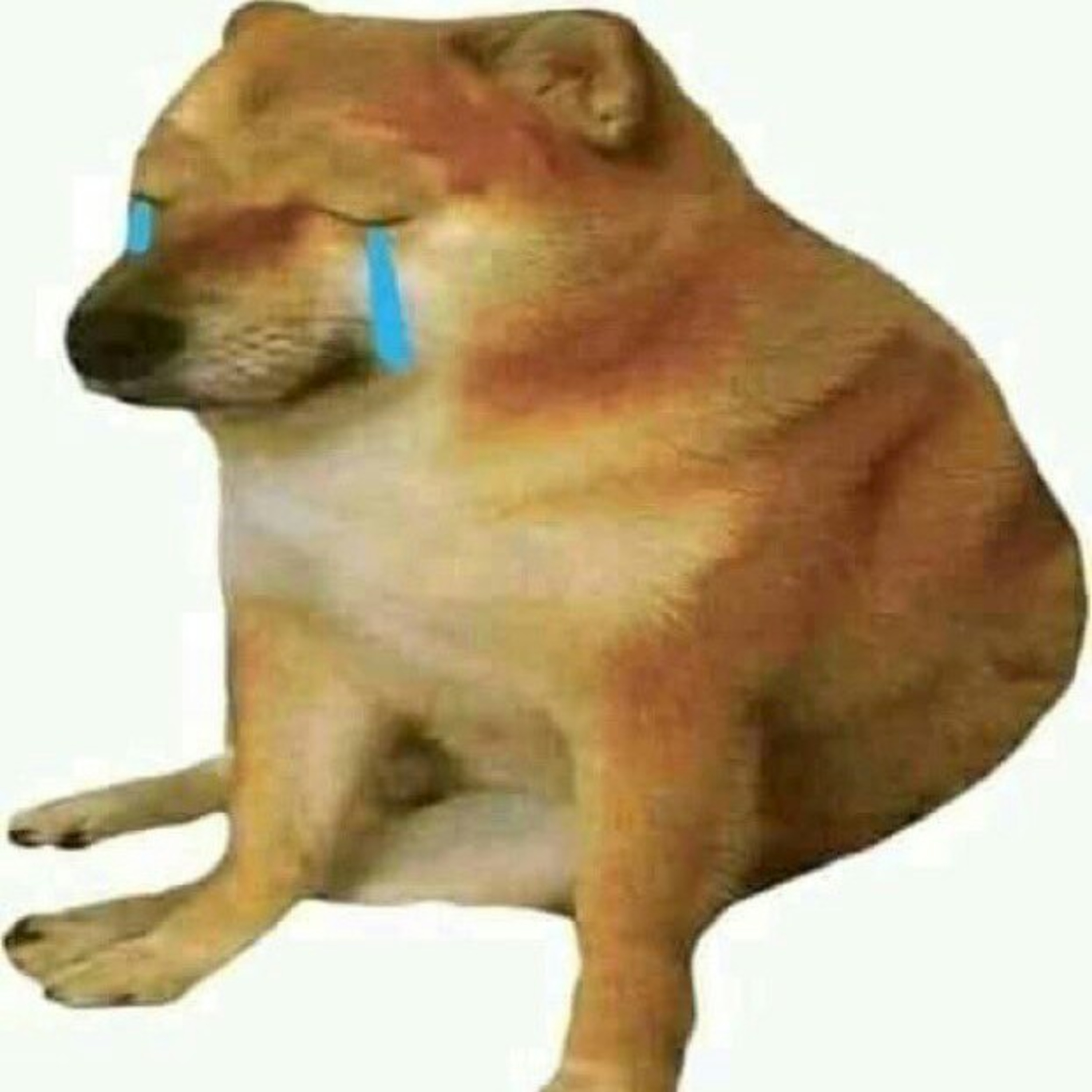 DIGO LO QUE QUIERO