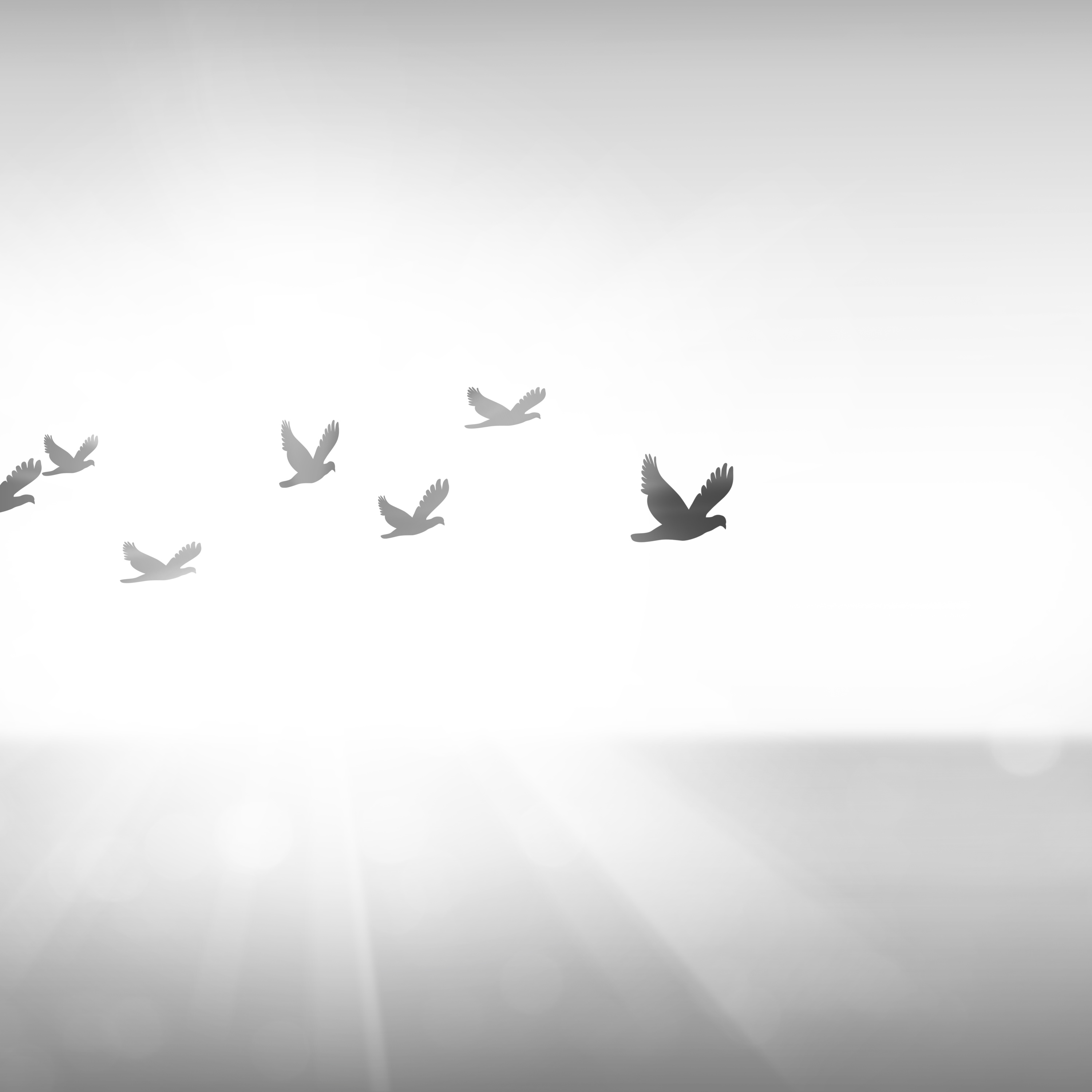 Meditación Soy libre  episode artwork