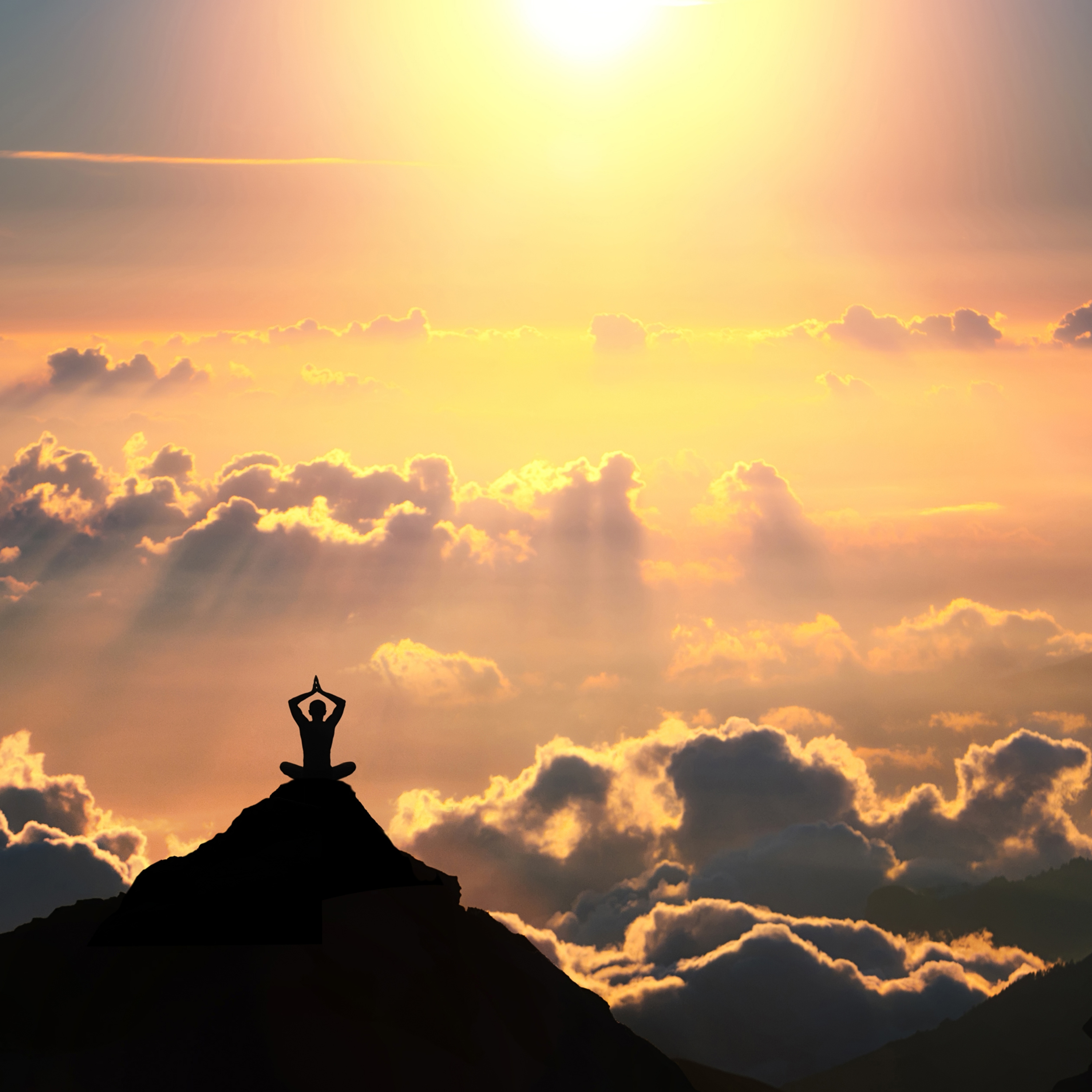 Meditaciones Cosmic Bloom