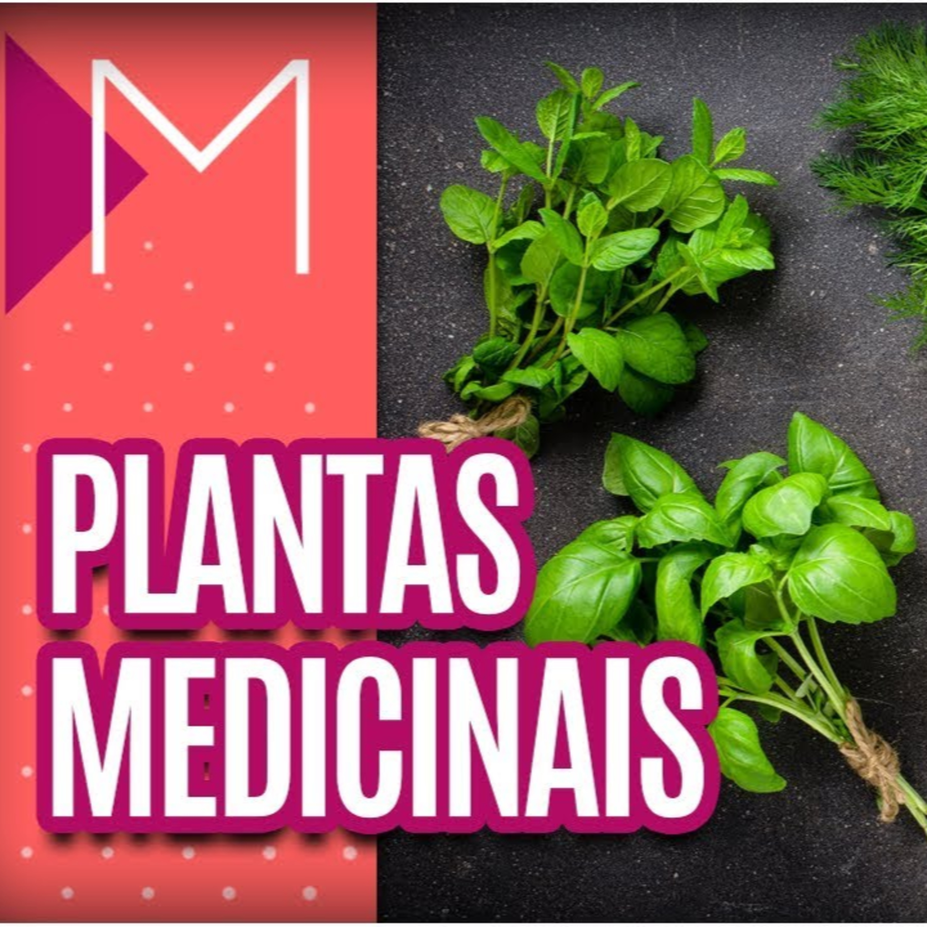 Programa Hora da Saúde