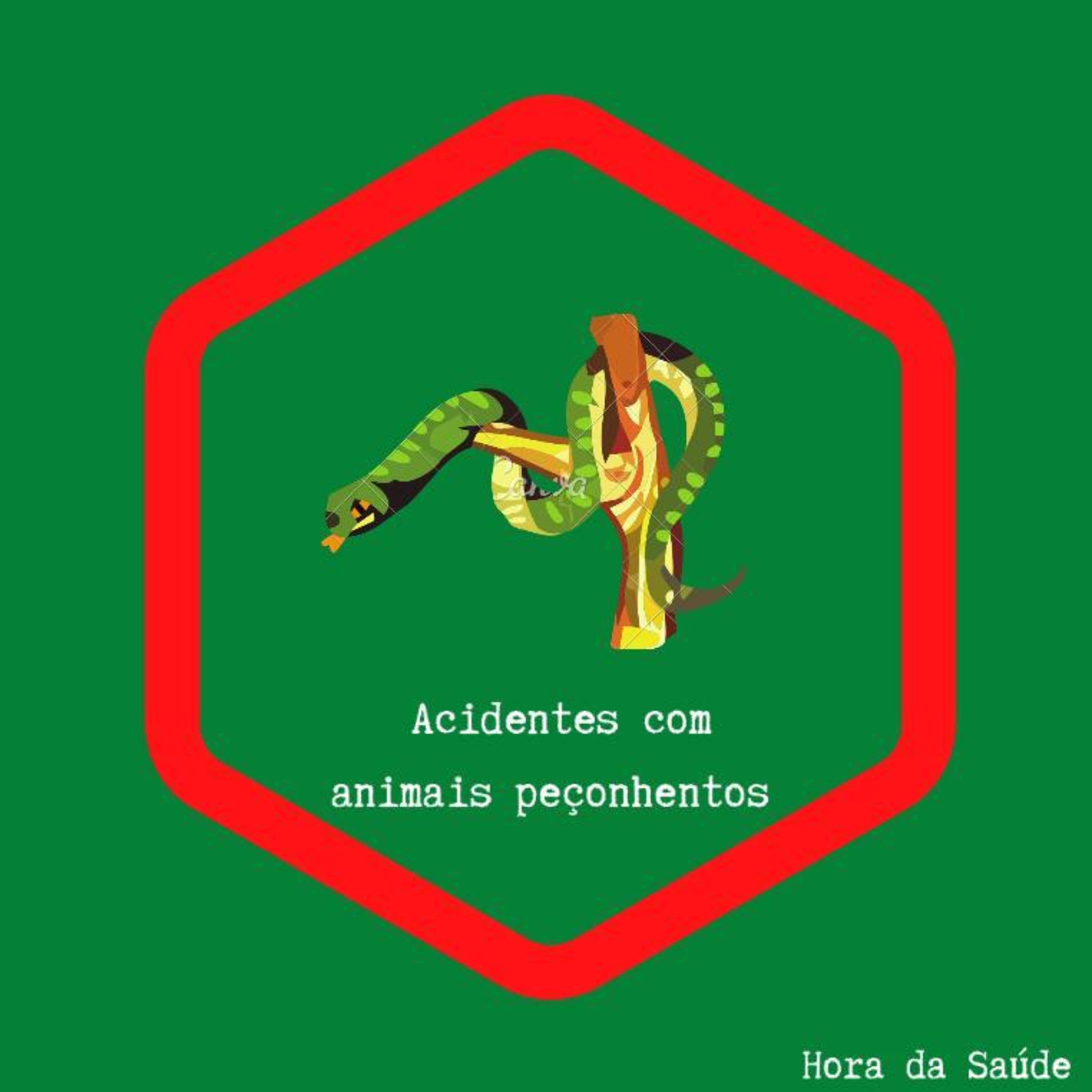 Programa Hora da Saúde