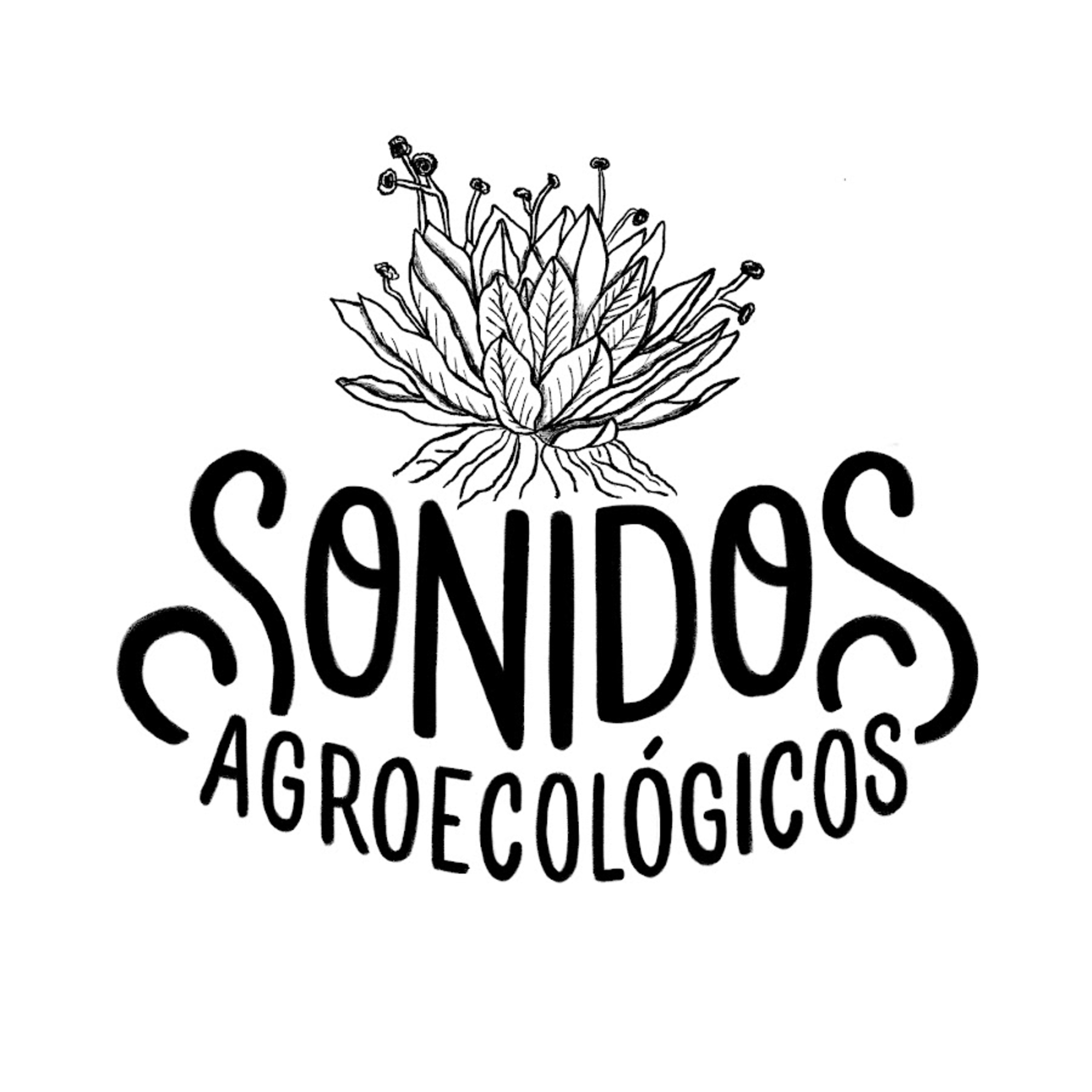 Saberes de la Tierra