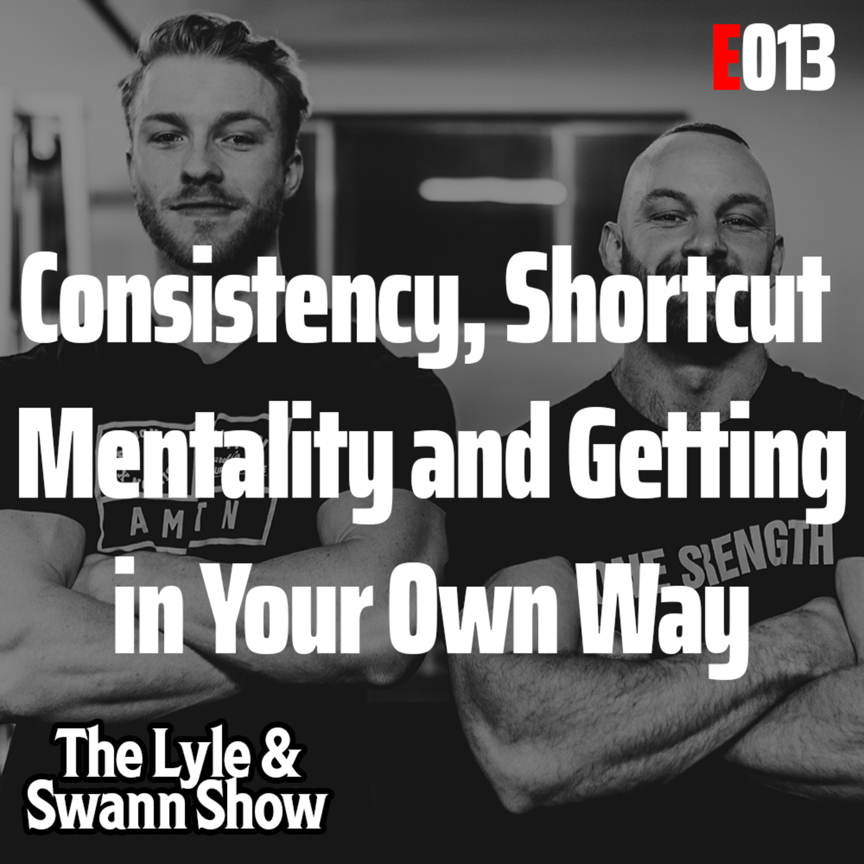 The Lyle and Swann Show