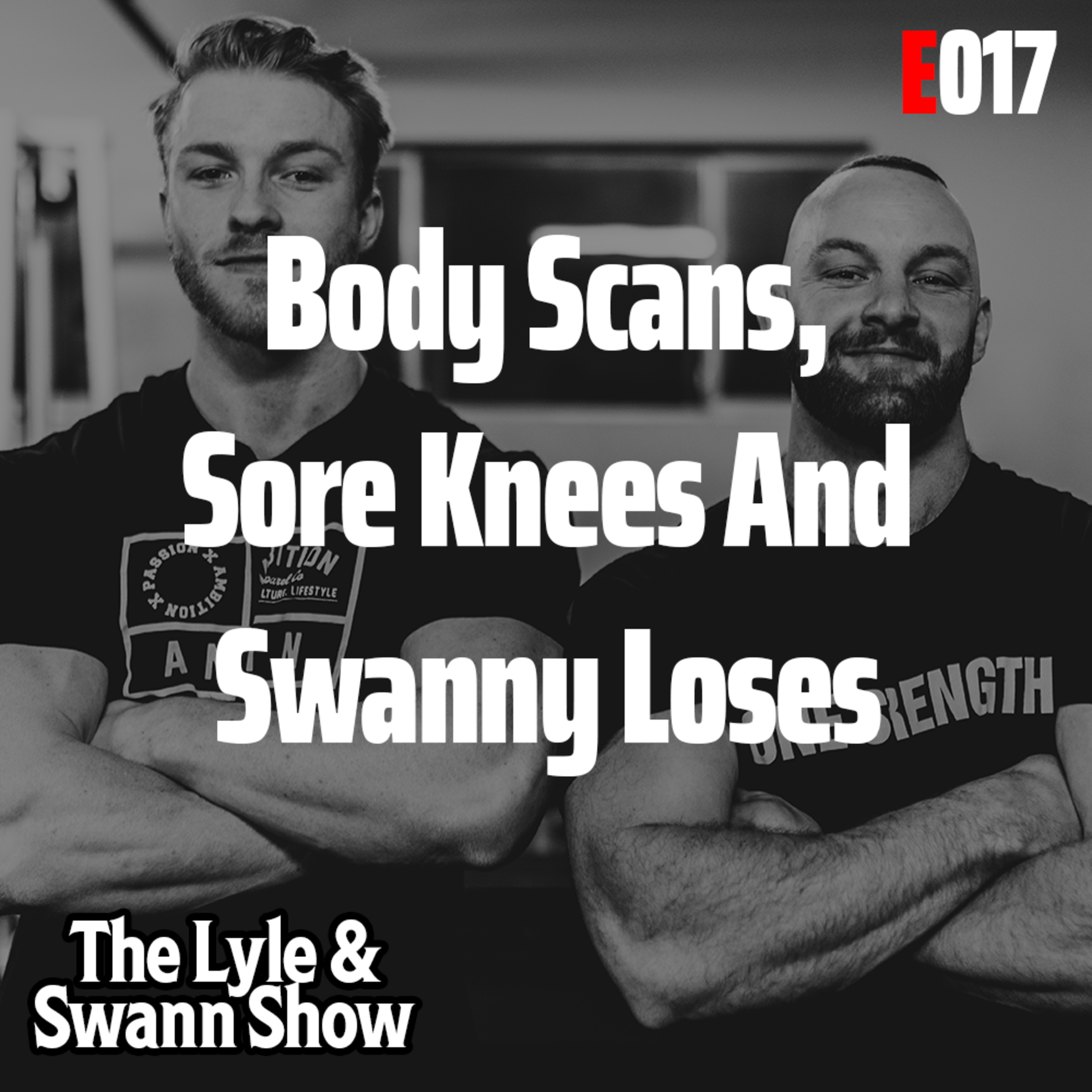 The Lyle and Swann Show