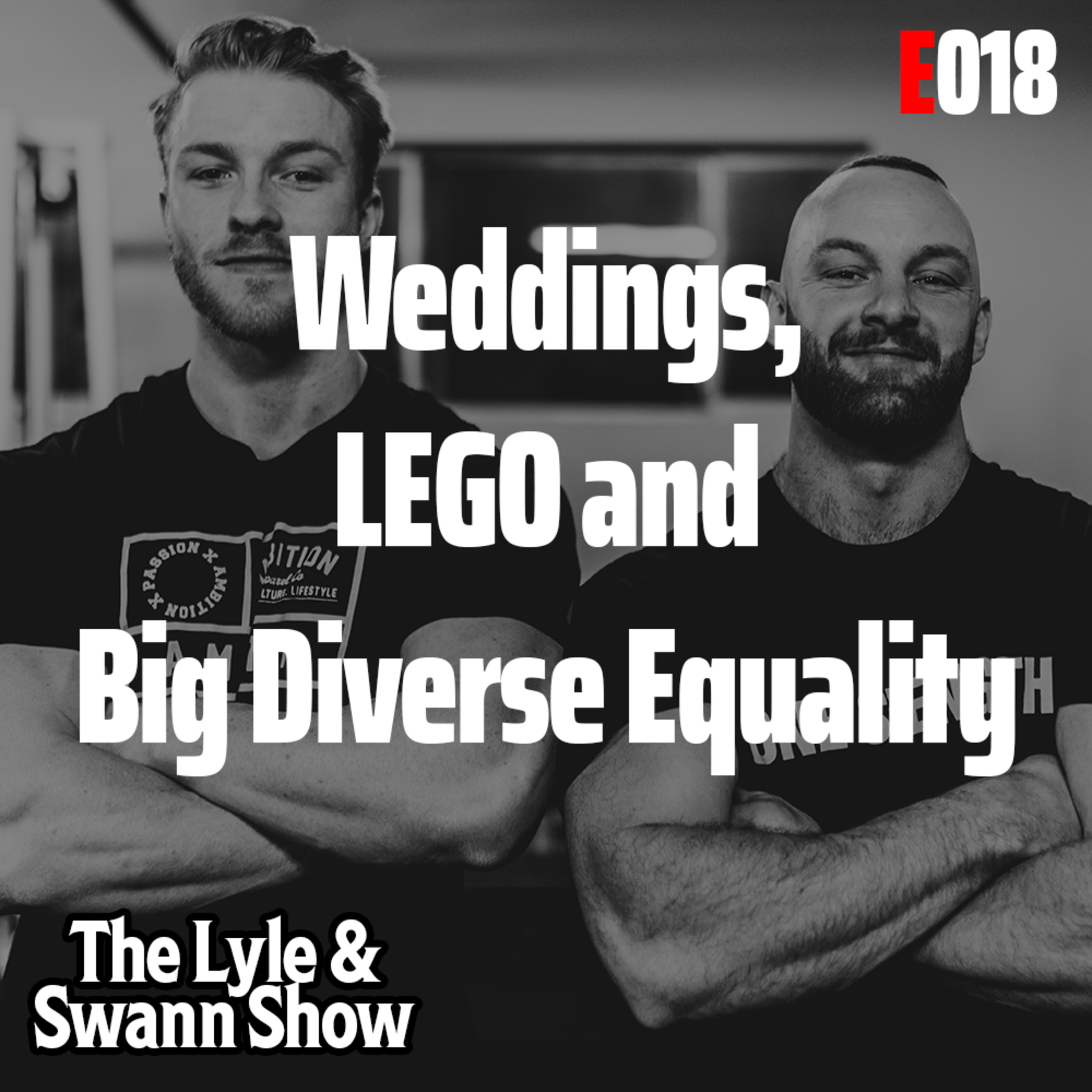 The Lyle and Swann Show