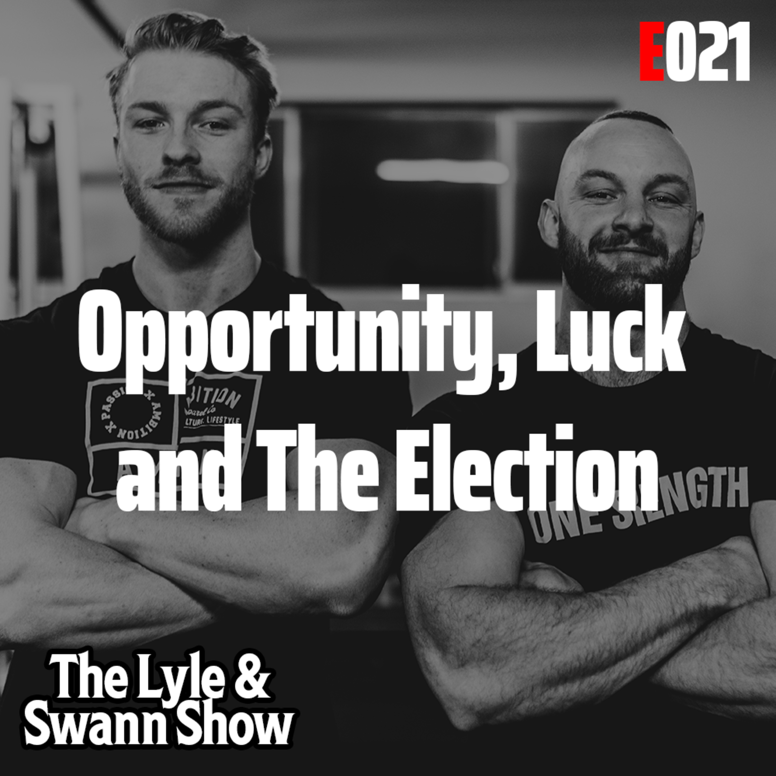 The Lyle and Swann Show