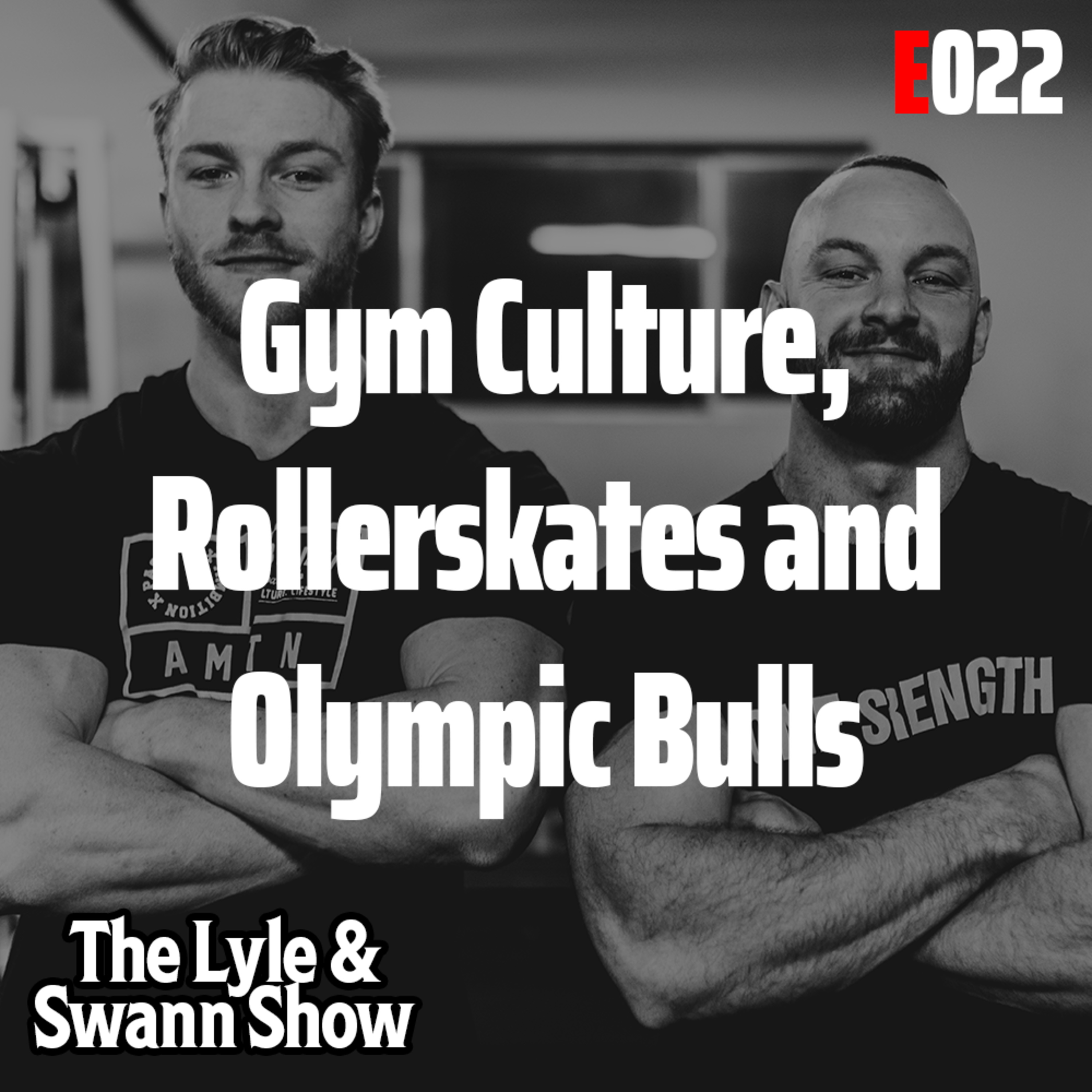 The Lyle and Swann Show