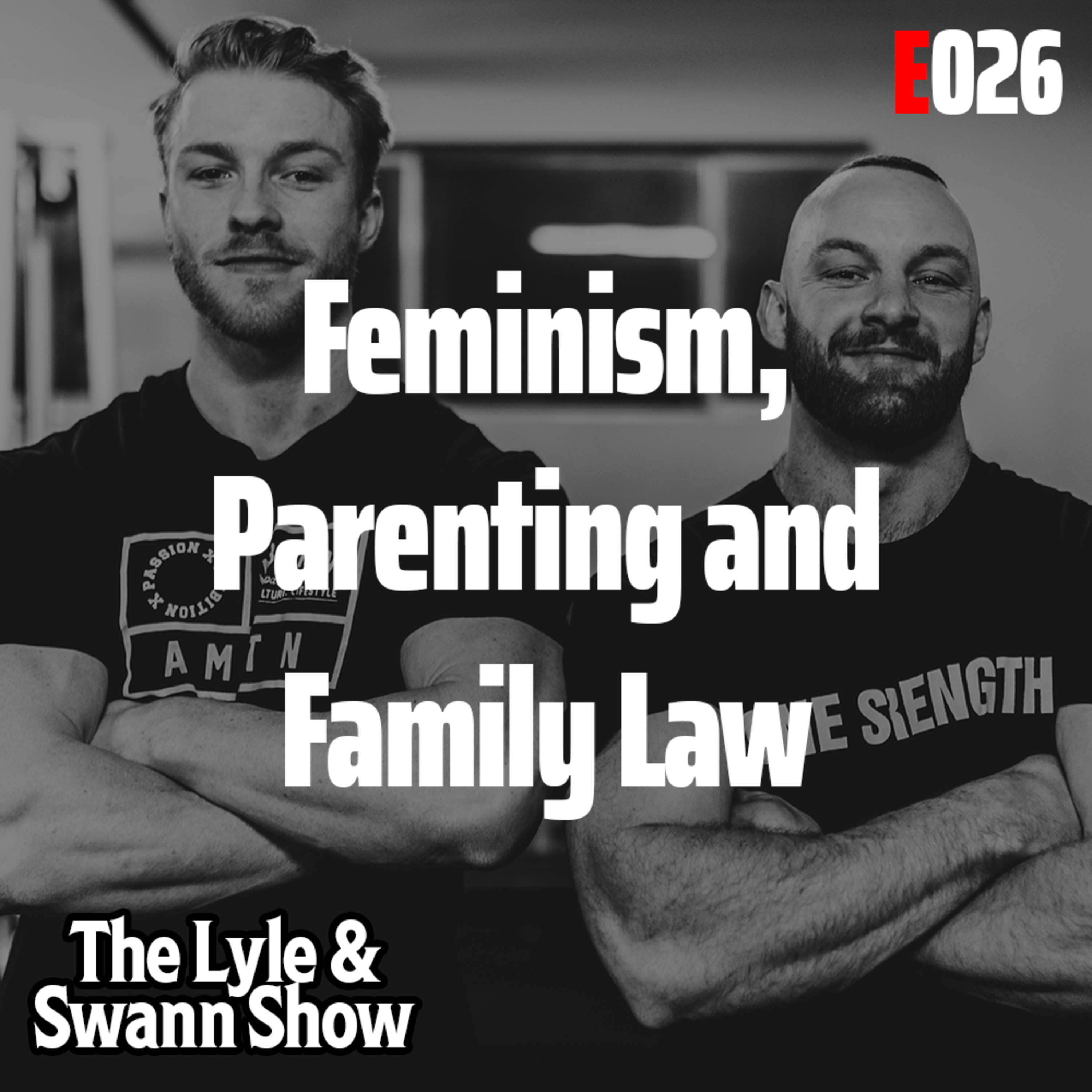 The Lyle and Swann Show