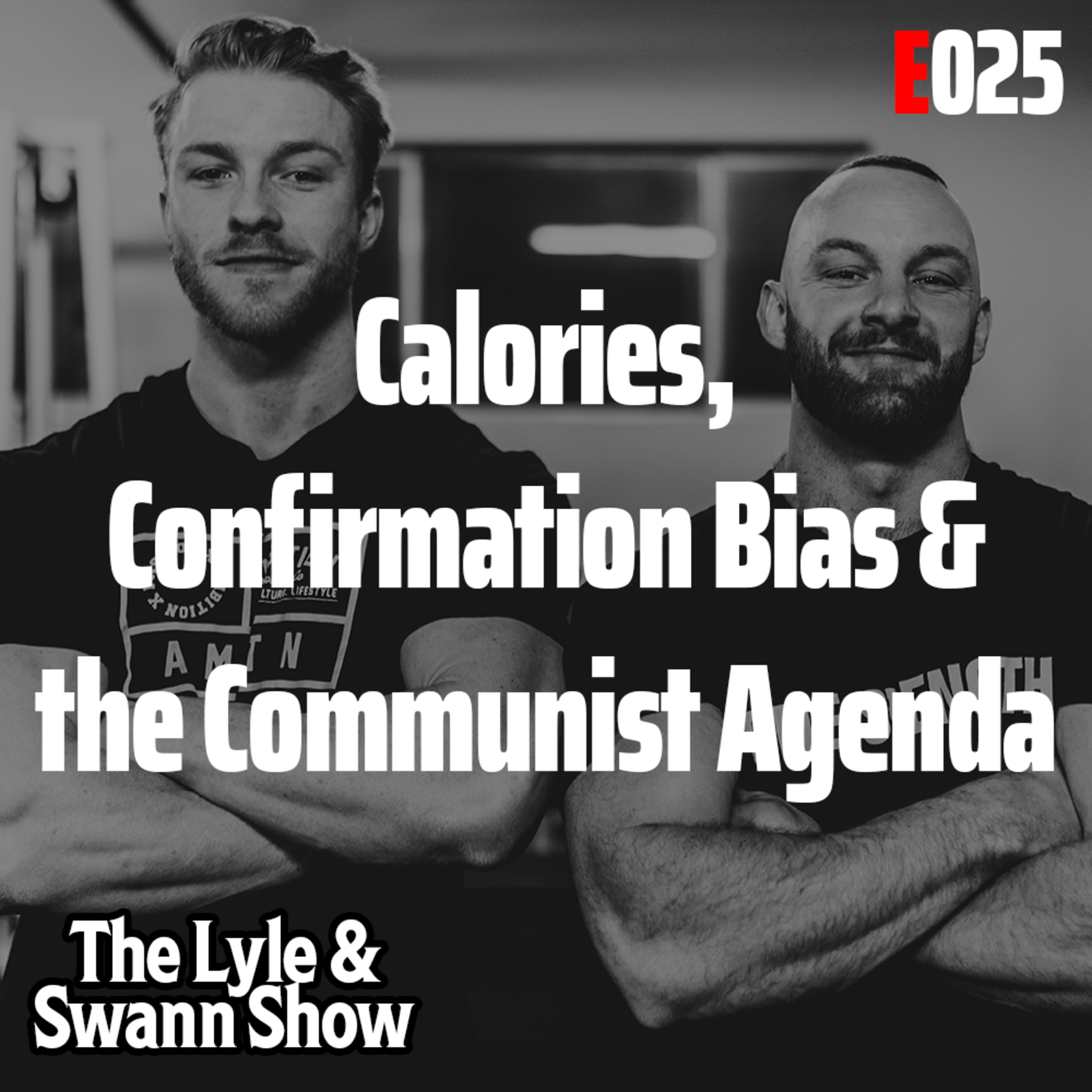 The Lyle and Swann Show