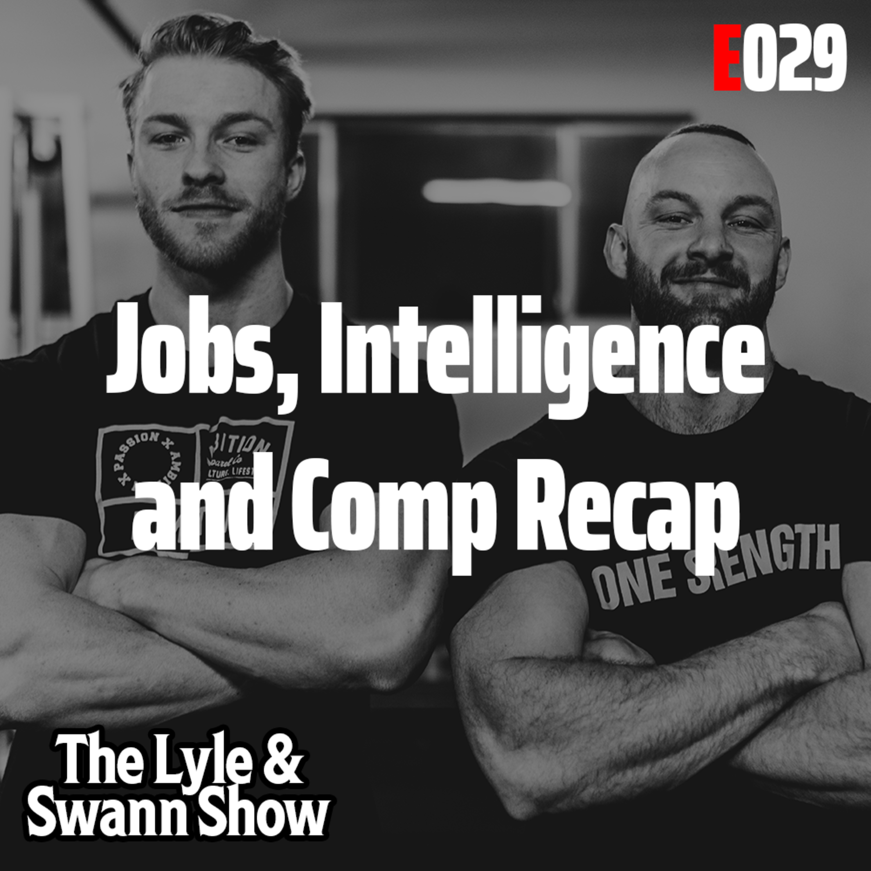 The Lyle and Swann Show