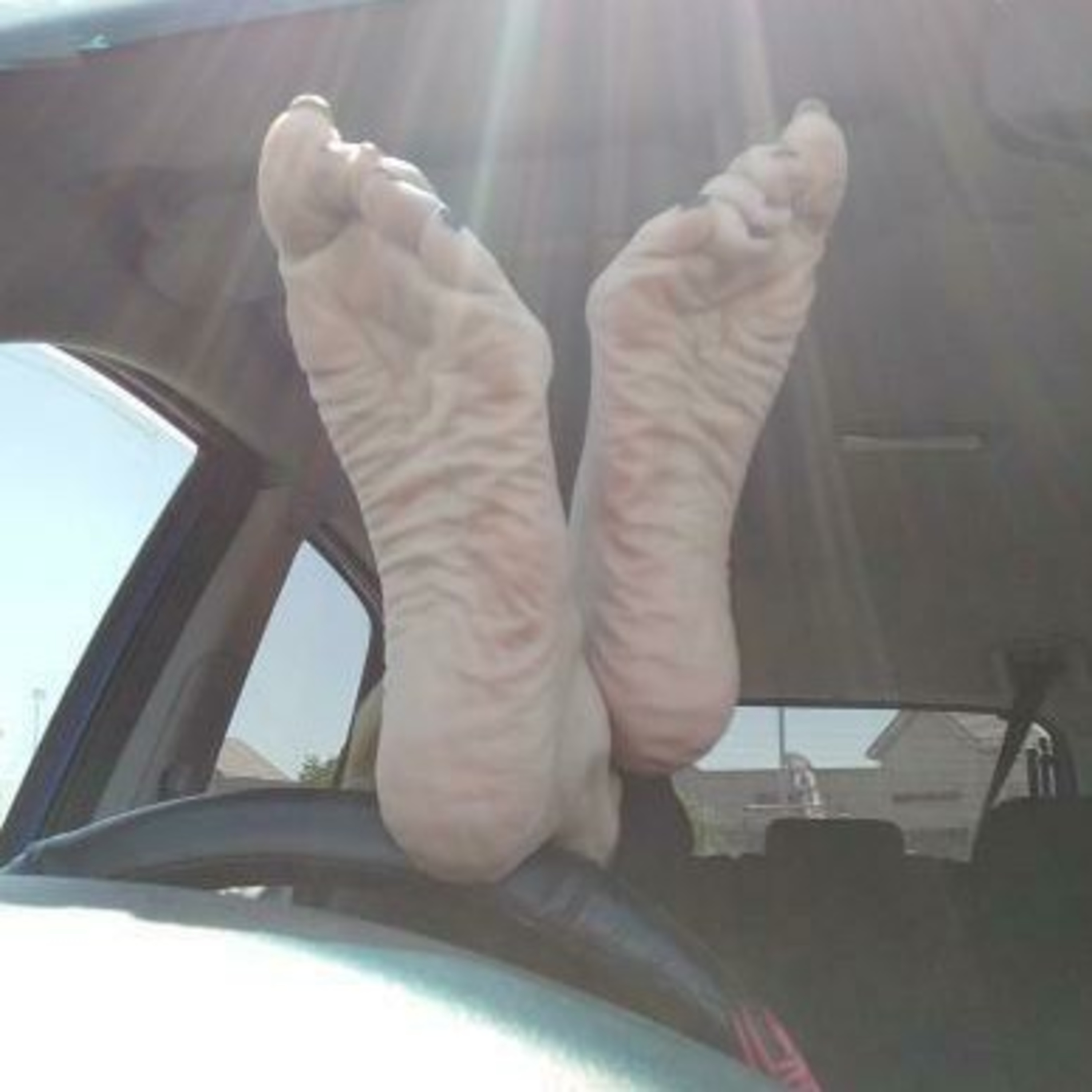 Lions, Bears, and HorrorFeet!!