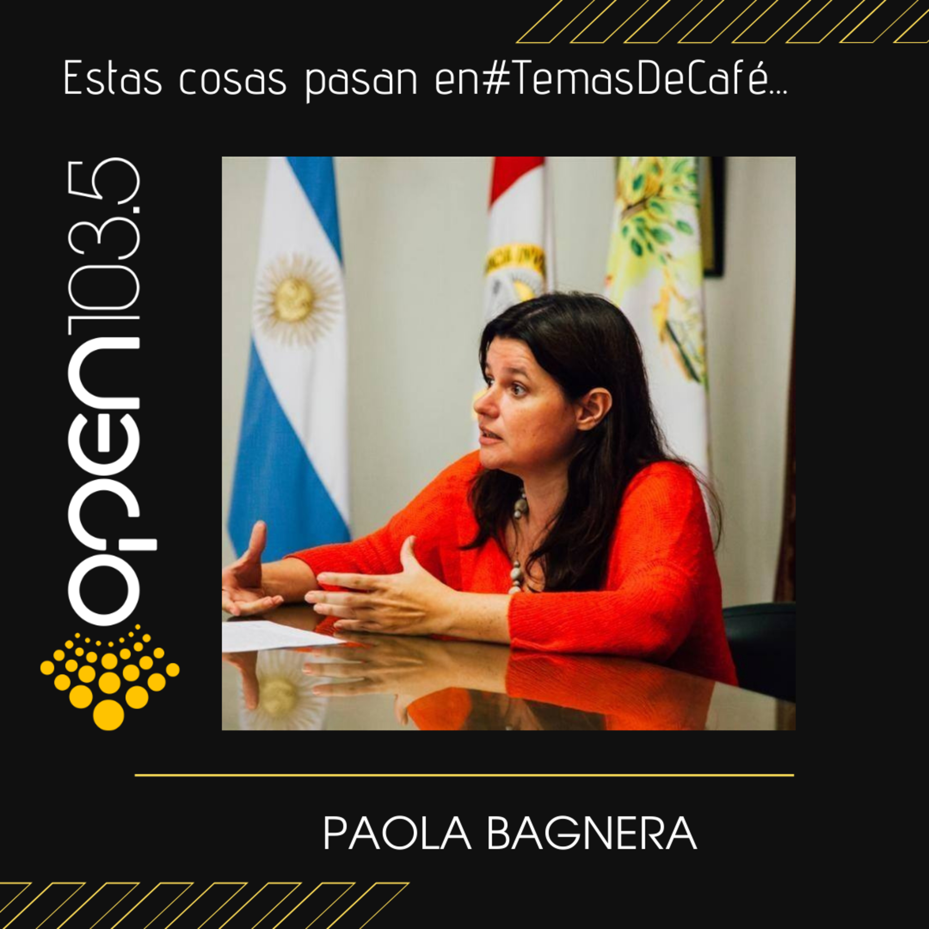 Paola Bagnera - Secretaria de ordenanamiento territorial del Municipio de Villa Const. episode artwork