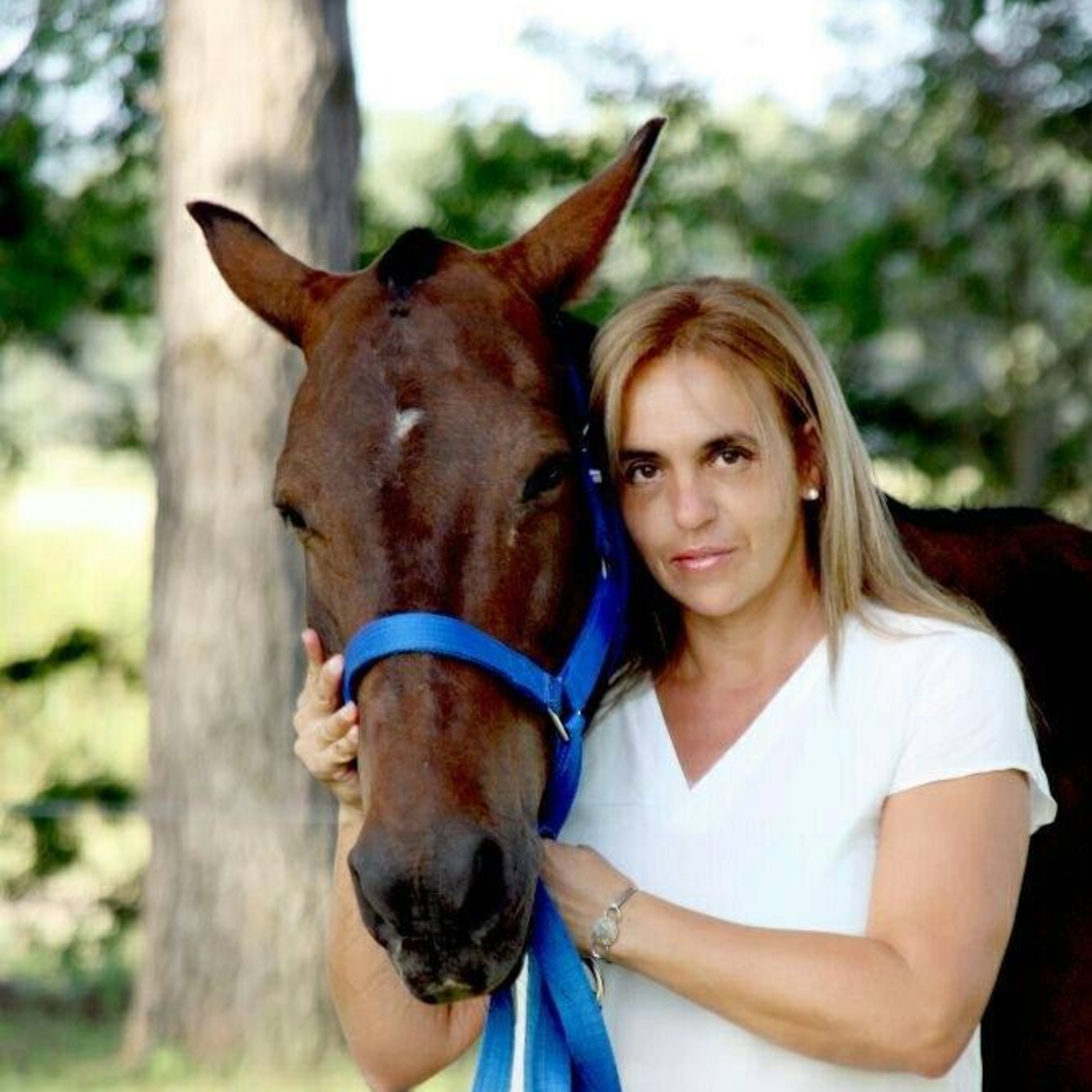 Primer Congreso Horse Assisted Coaching episode artwork