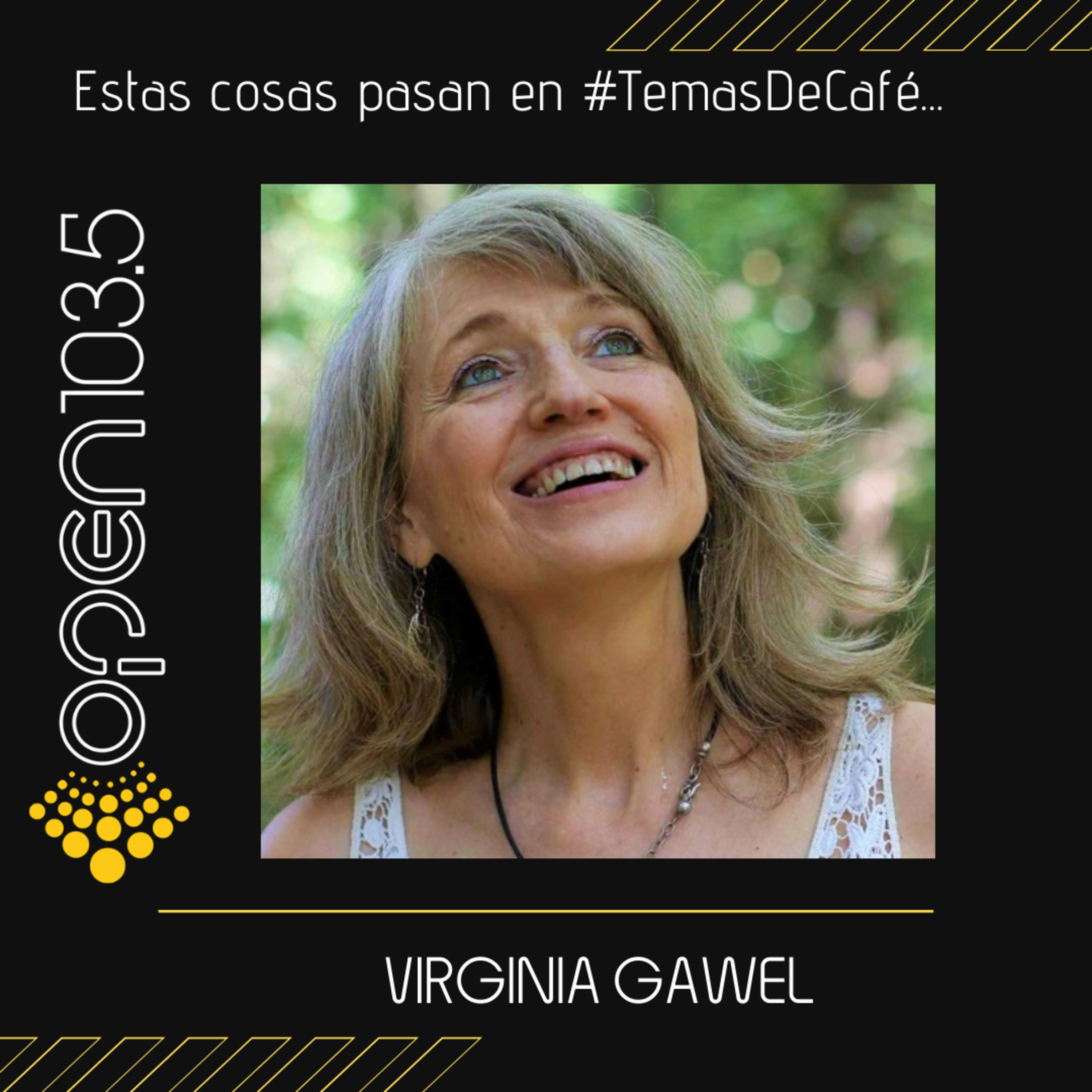 Virginia Gawel - Psicóloga, terapeuta, docente y escritora episode artwork