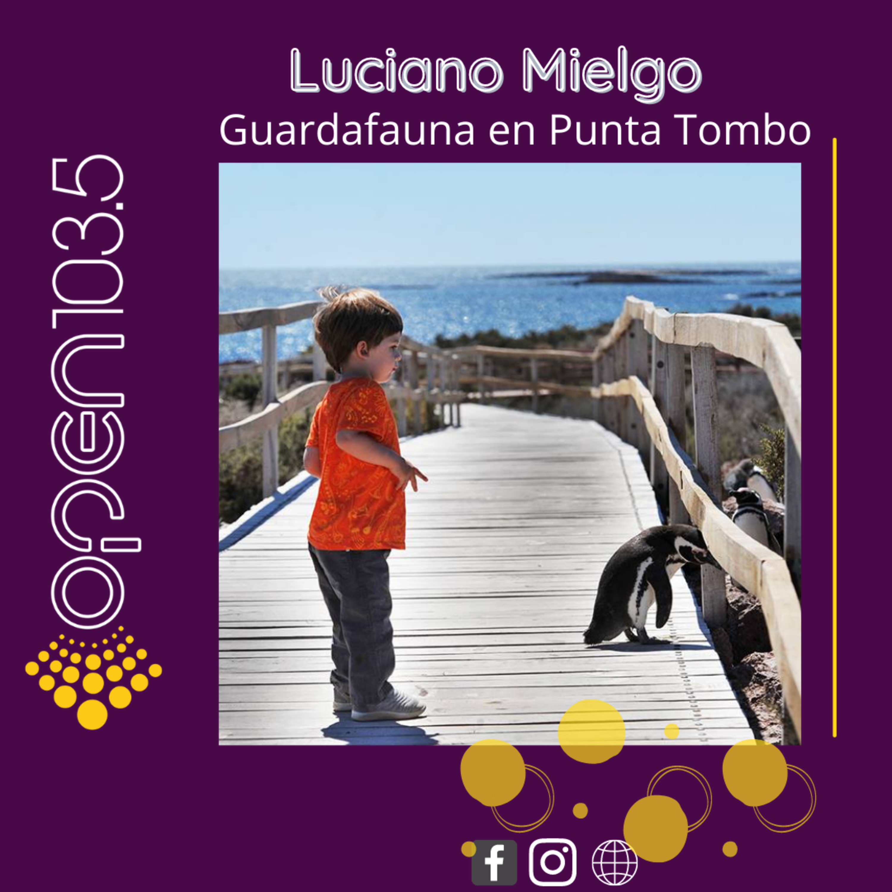 #TemasDeCafé - Día Mundial de los Pingüinos episode artwork