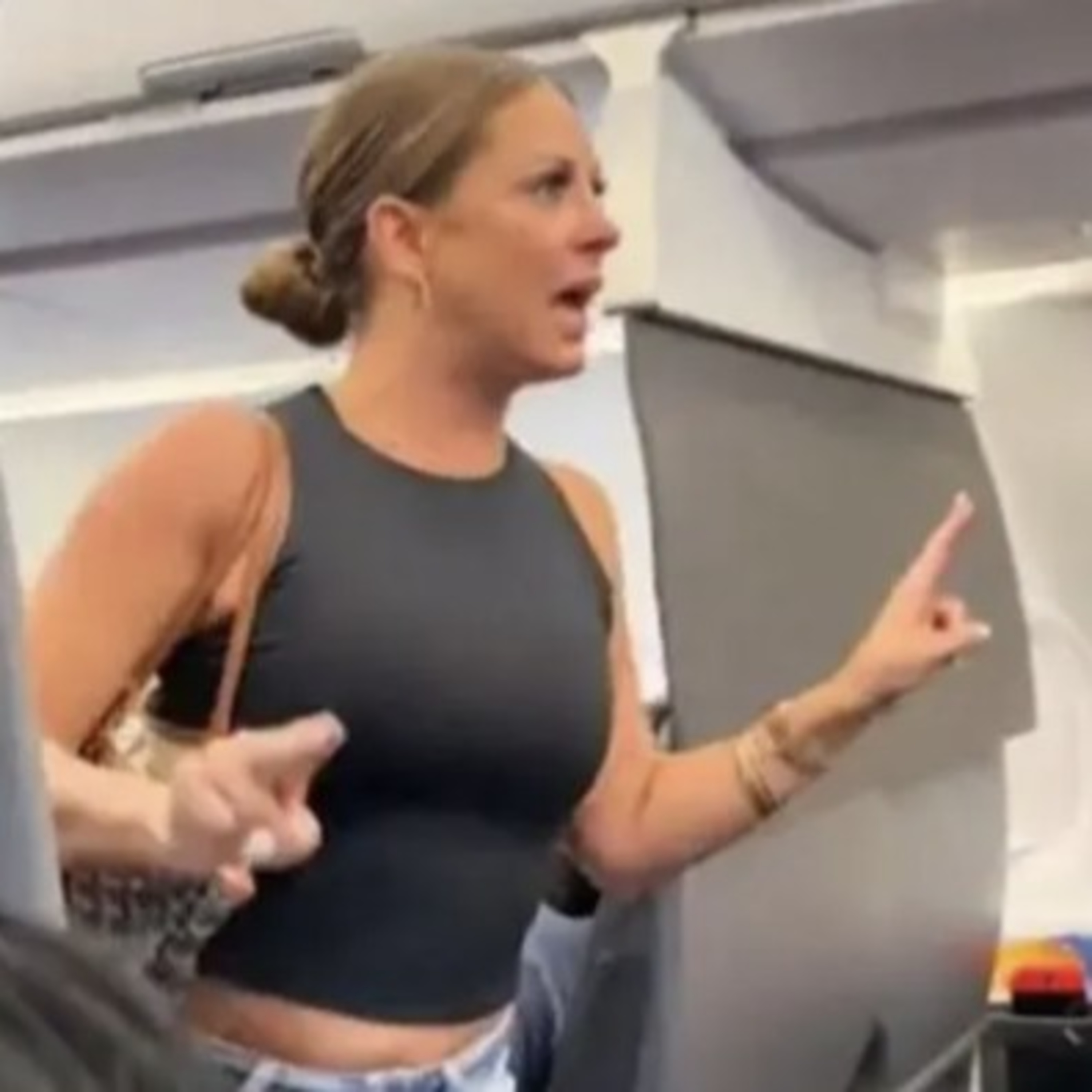 Lady on The plane!  episode artwork