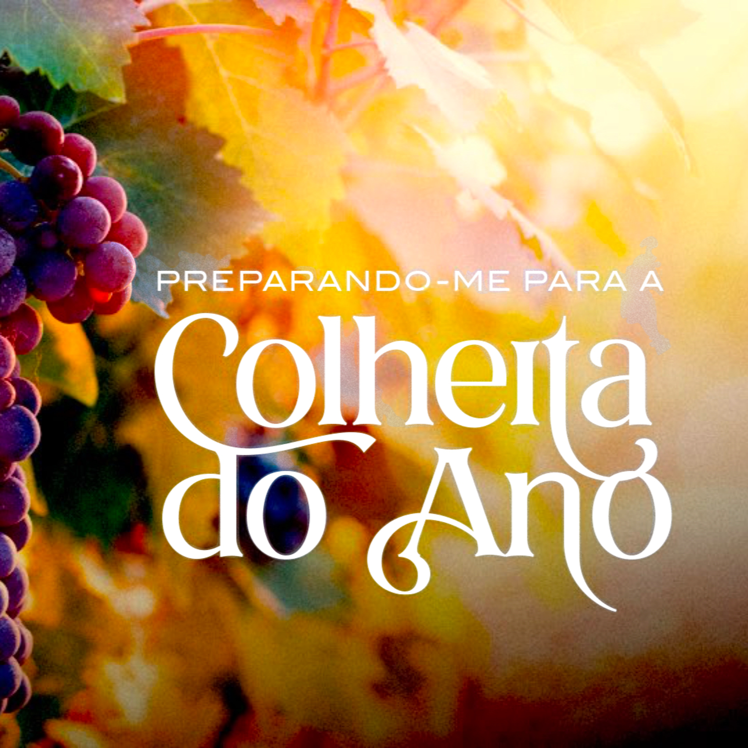 Celebração, 04_12 - A Melhor Colheita do Ano - Pr. Anderson Merluzzi episode artwork