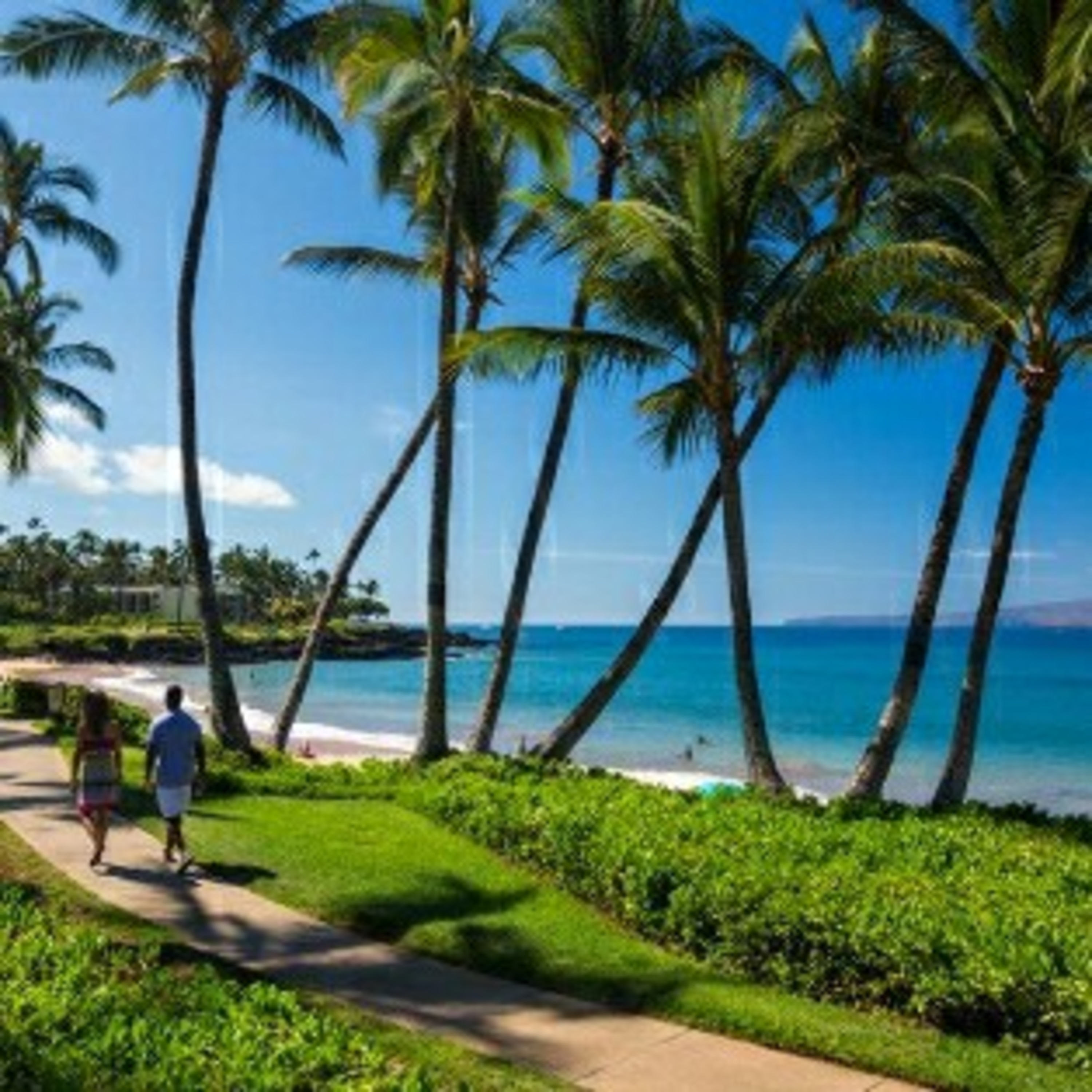 Hawaii baby episode artwork