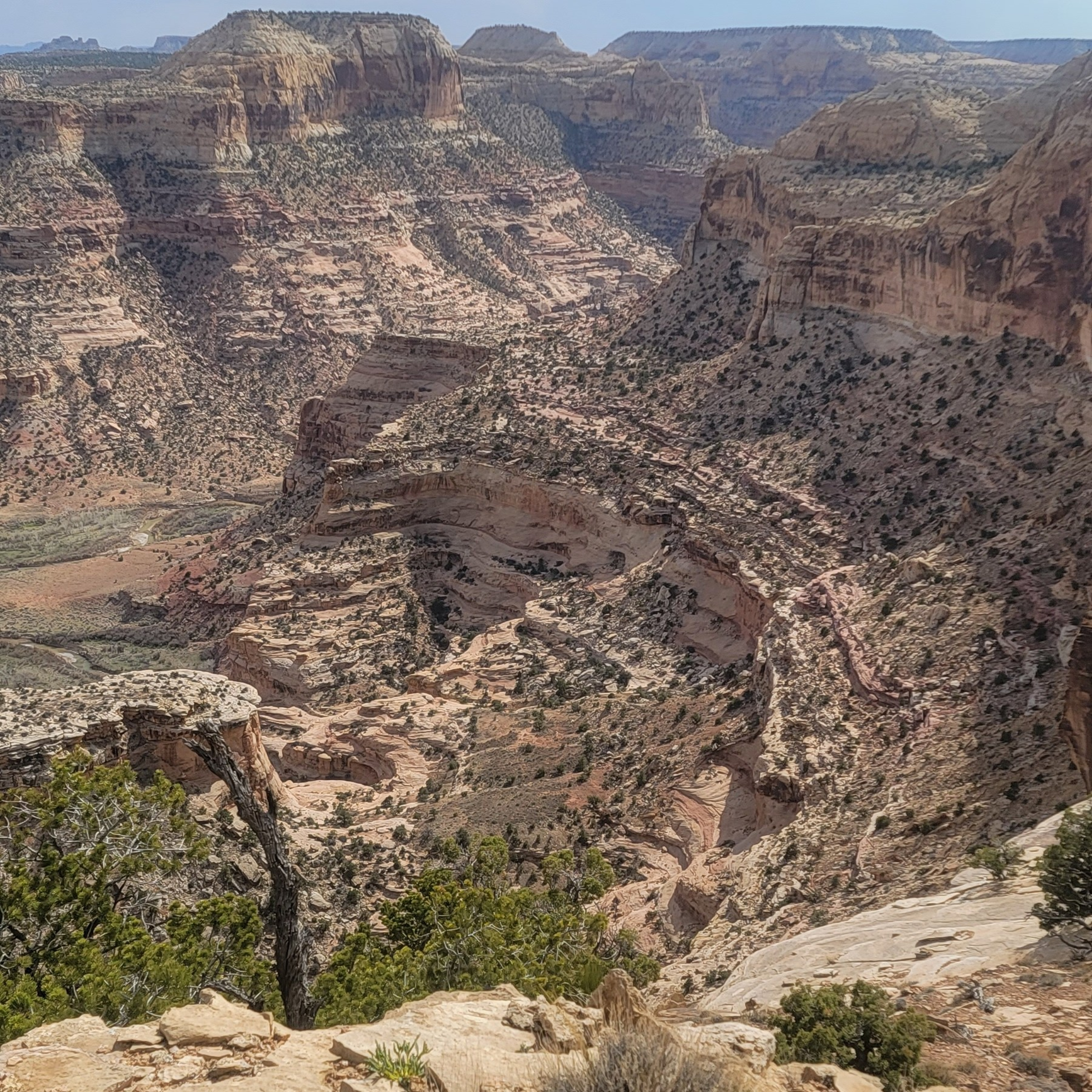 Little grand canyon  episode artwork