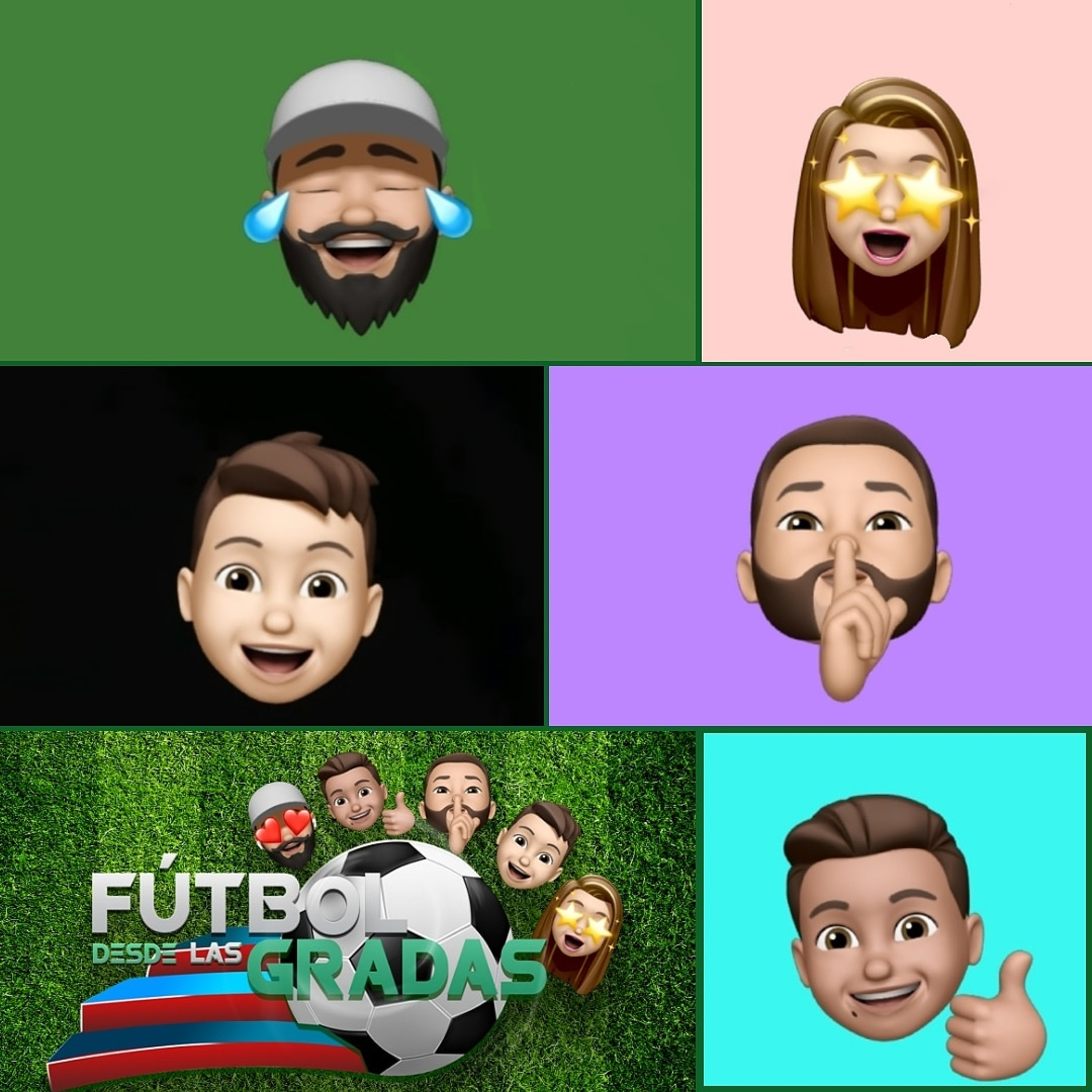 FÚTBOL DESDE LAS GRADAS