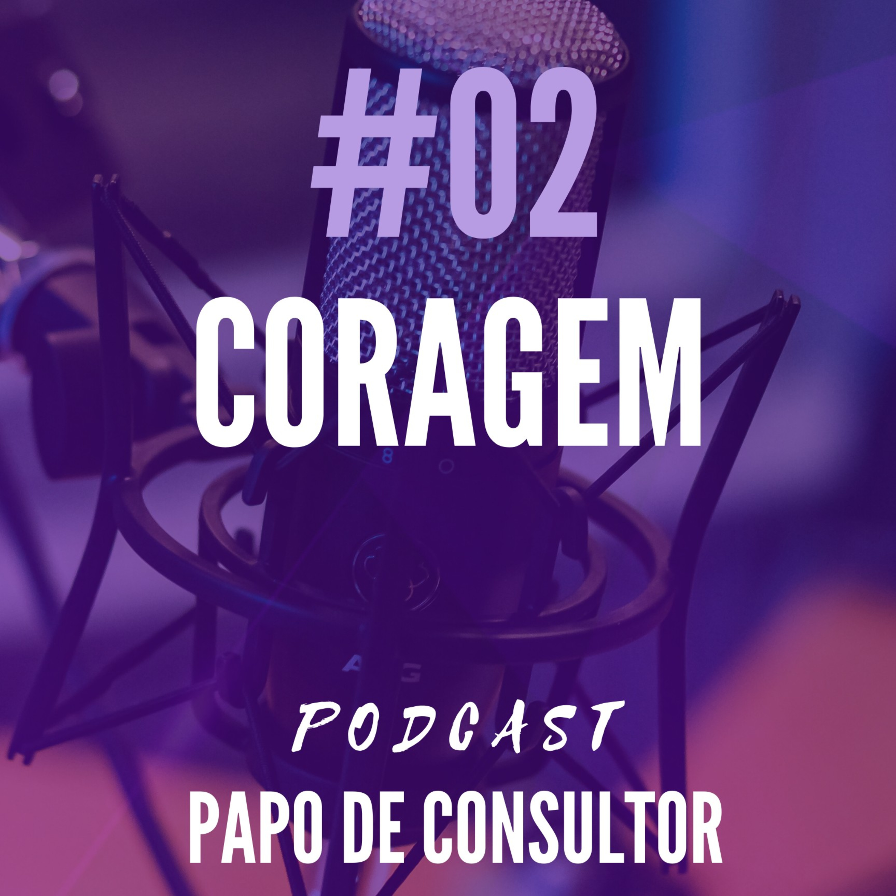 Papo De Consultor