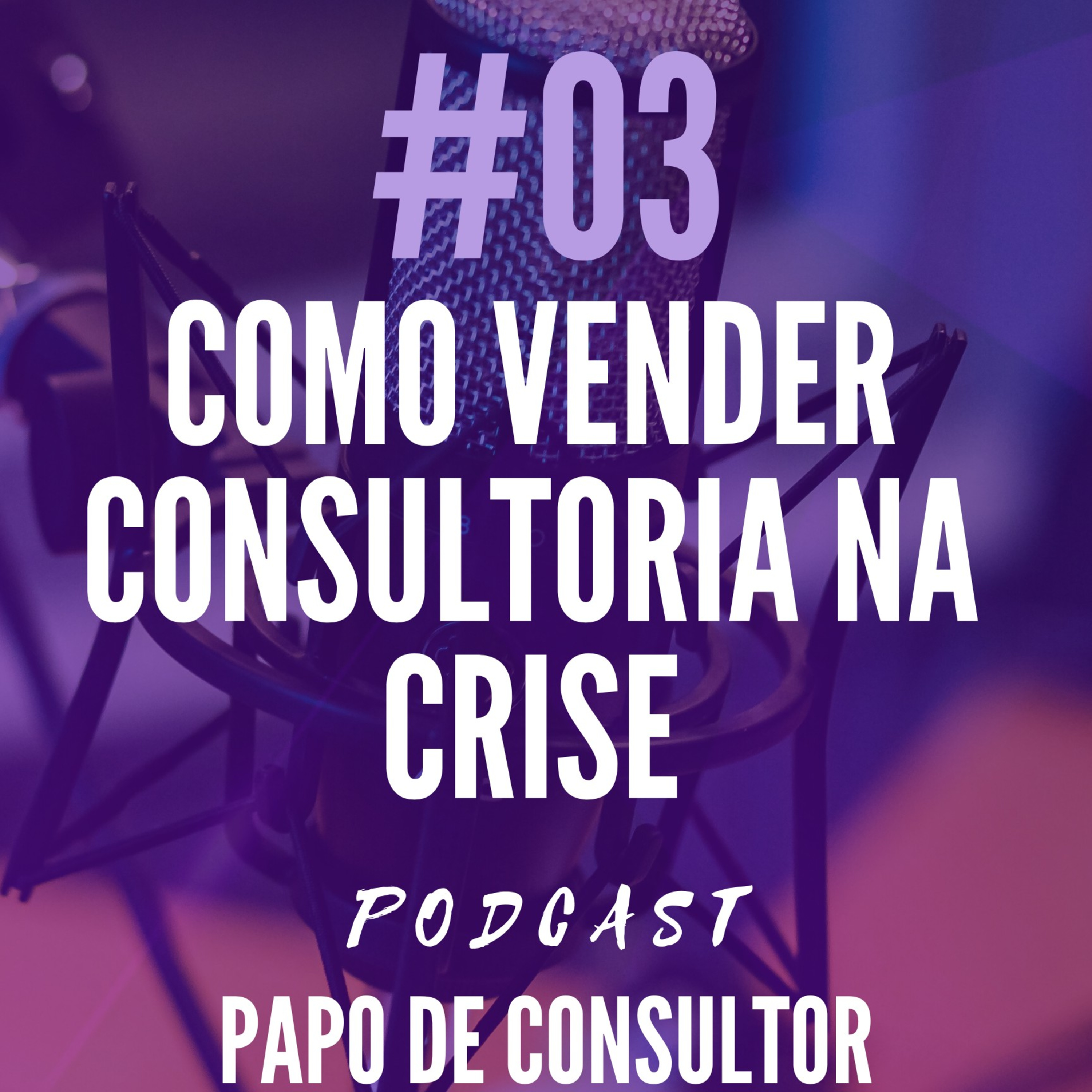 Papo De Consultor